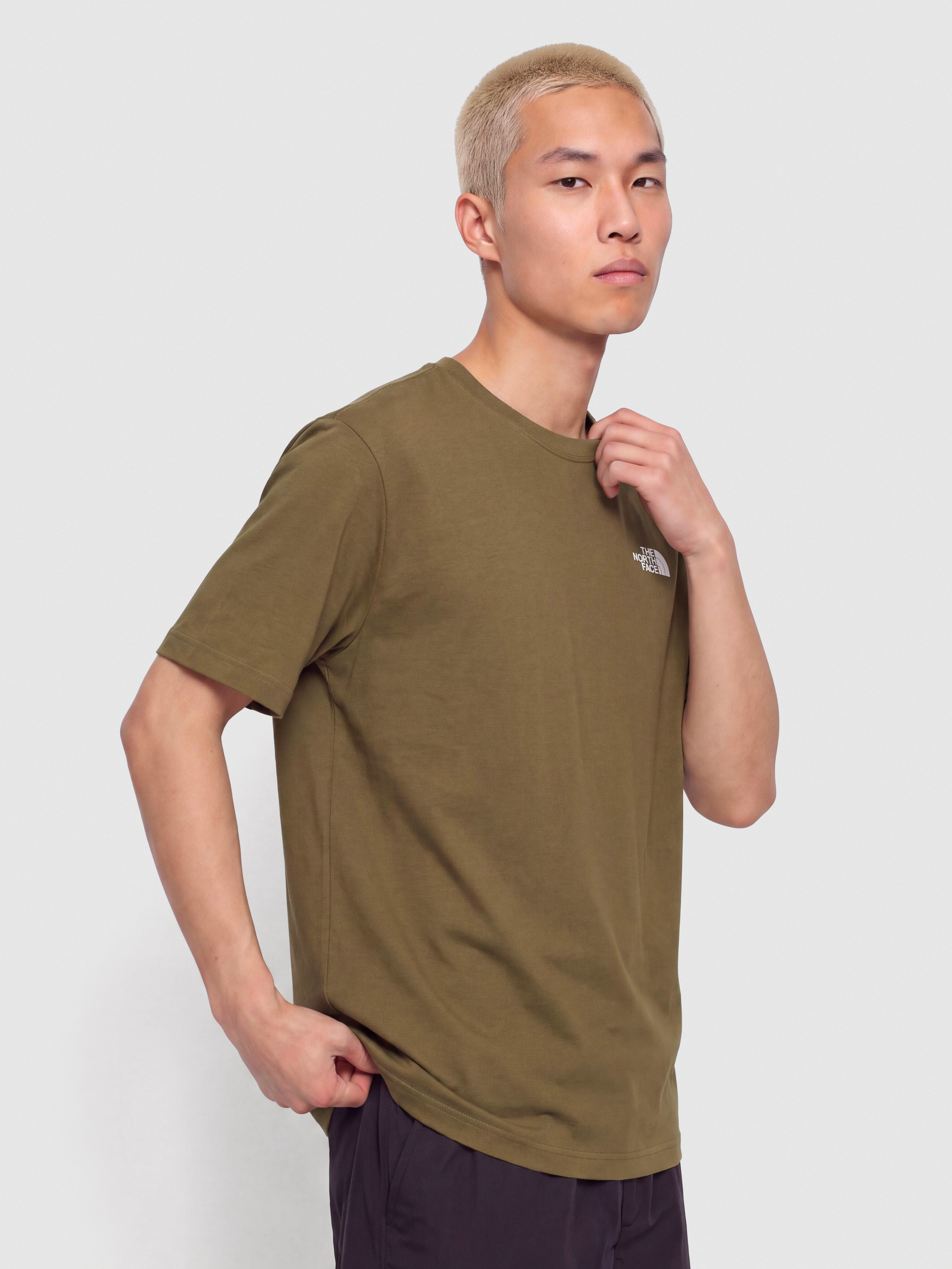 The North Face Evolution Simple Dome T-Shirt (caraway seed)