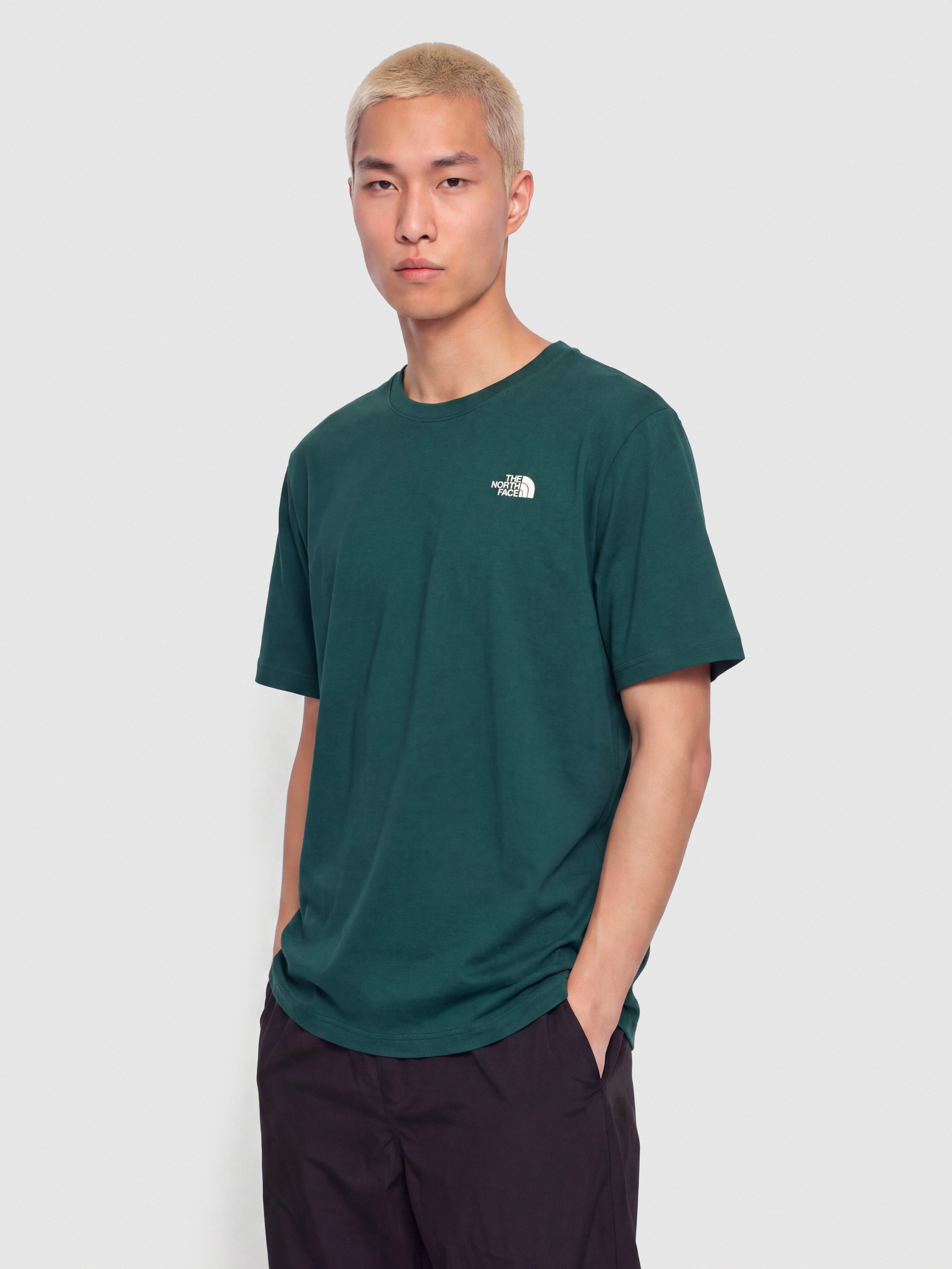 The North Face Evolution Simple Dome T-Shirt (pacific teal)