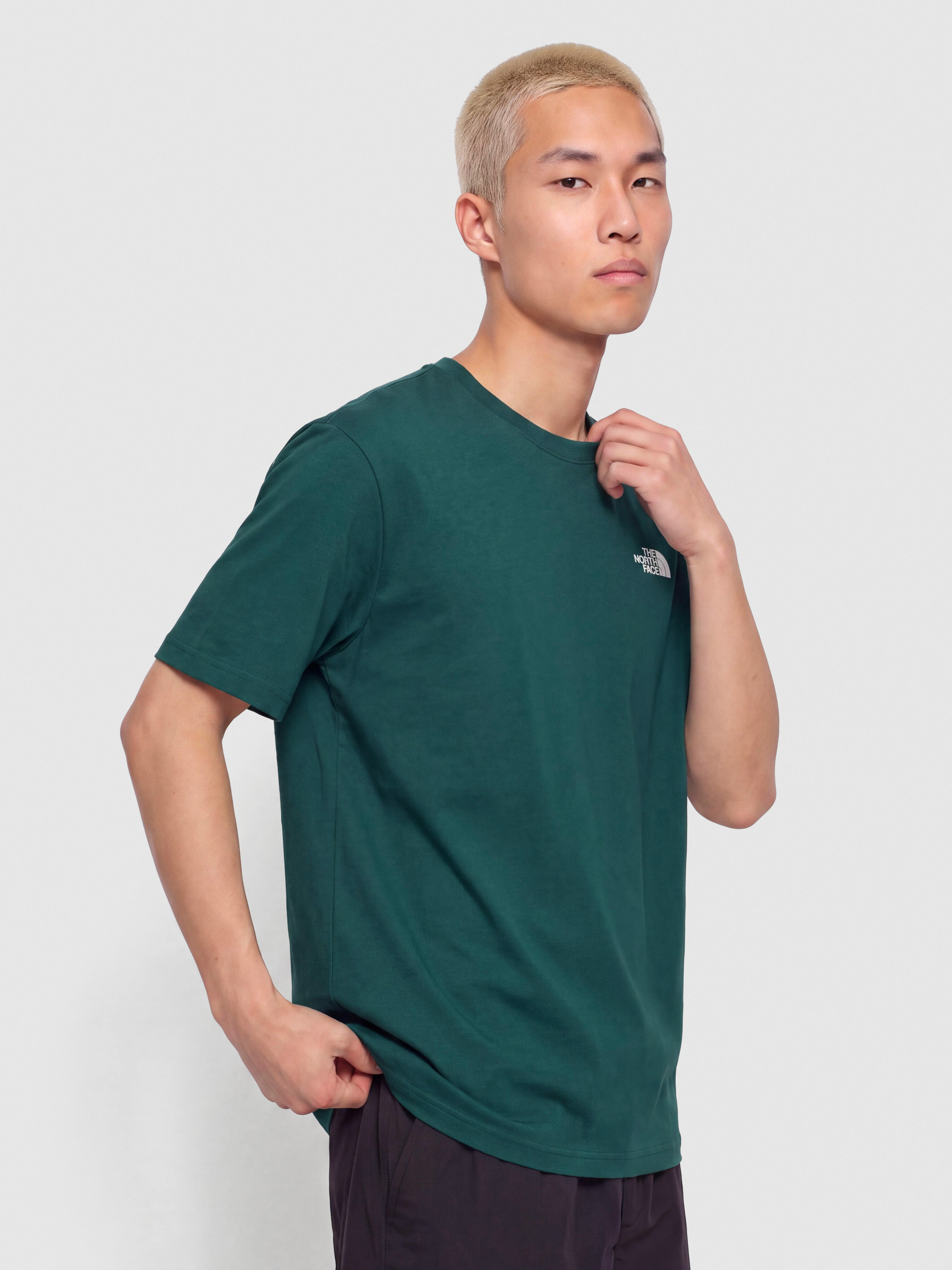 The North Face Evolution Simple Dome T-Shirt (pacific teal)