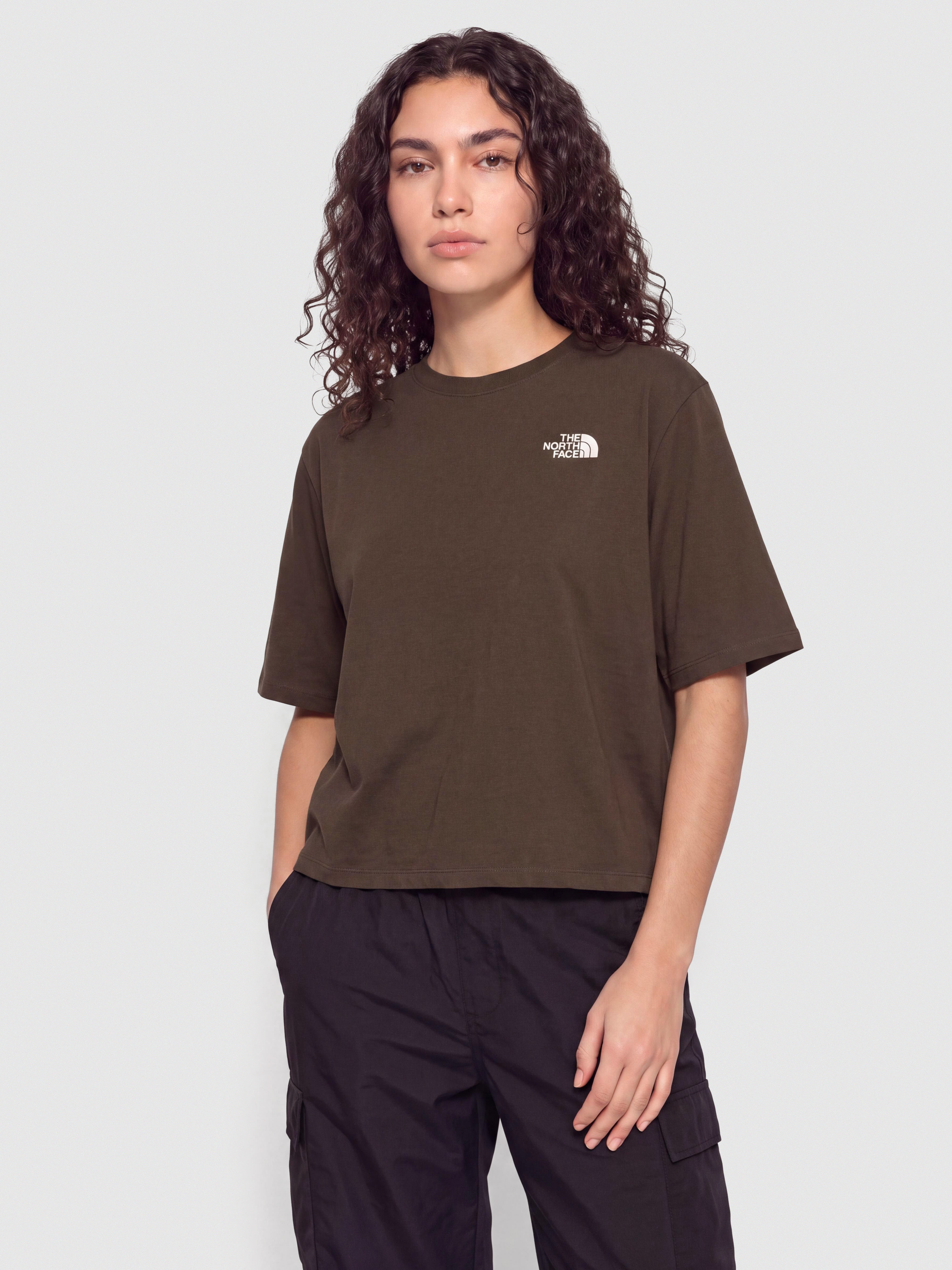 The North Face Hike Picnic Boxy Wmn T-Shirt (dark chestnut)