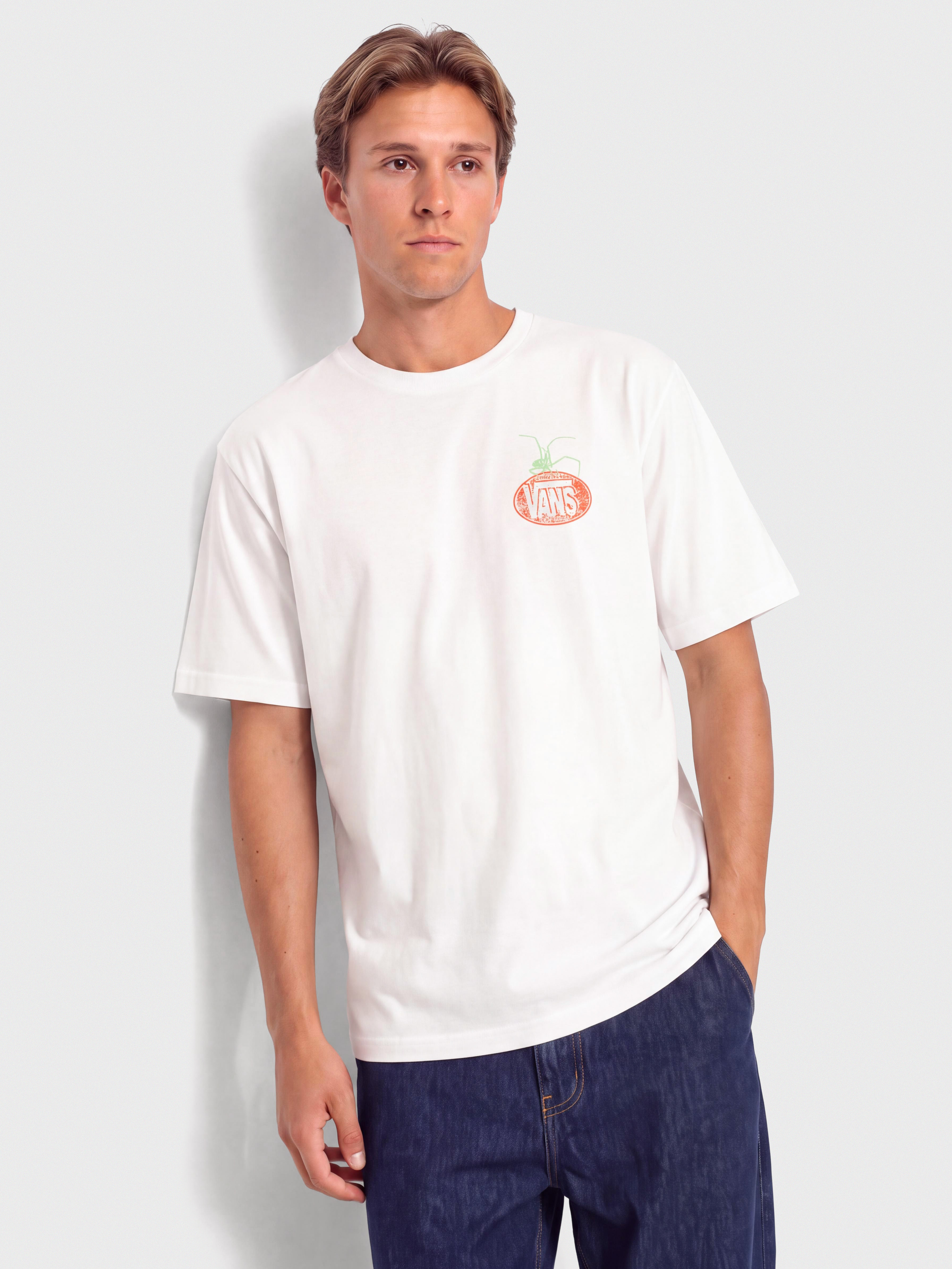 Vans T-Shirt Artifacts (white)