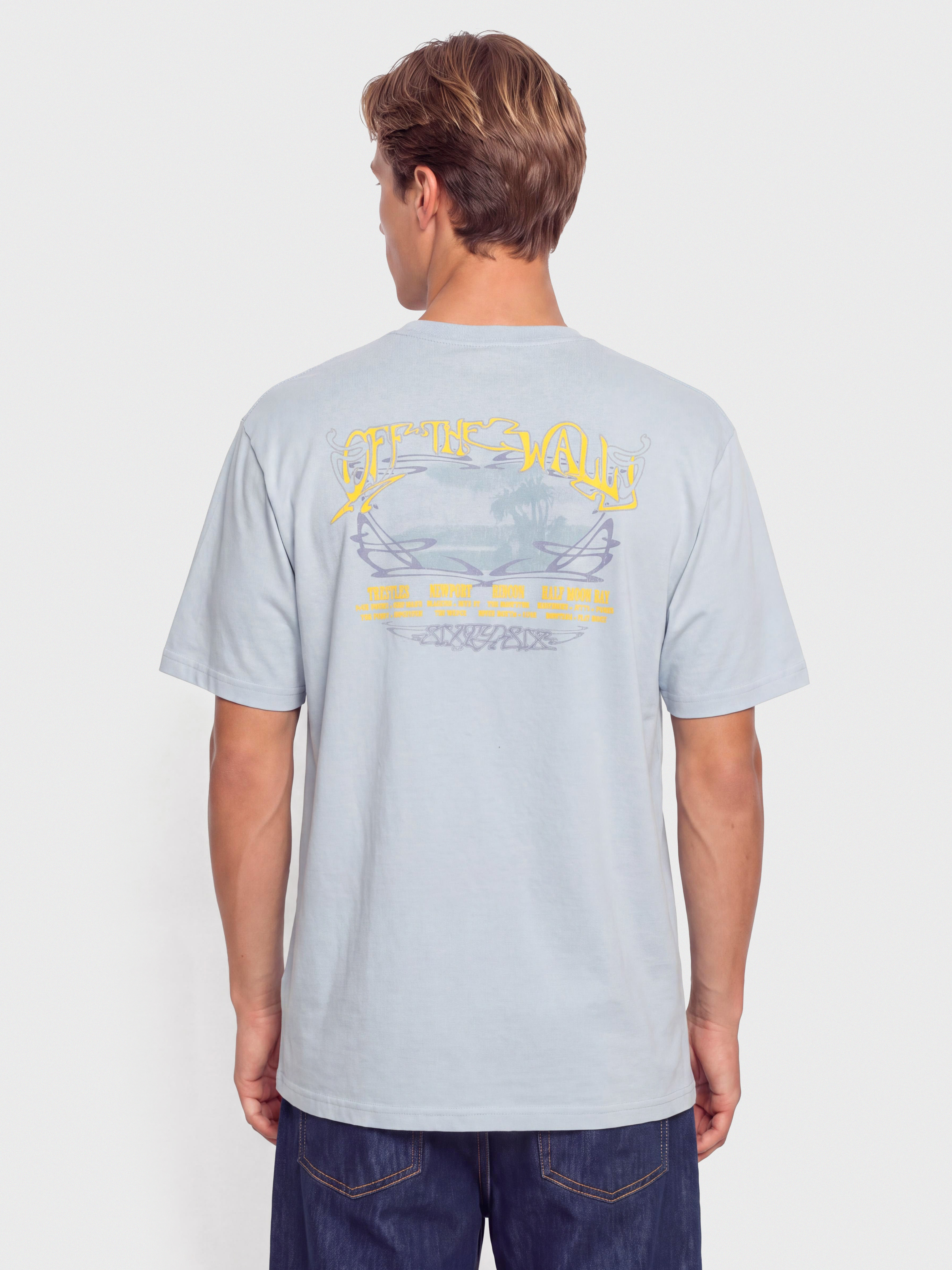 Vans Jetty Sets T-shirt (soft slate)