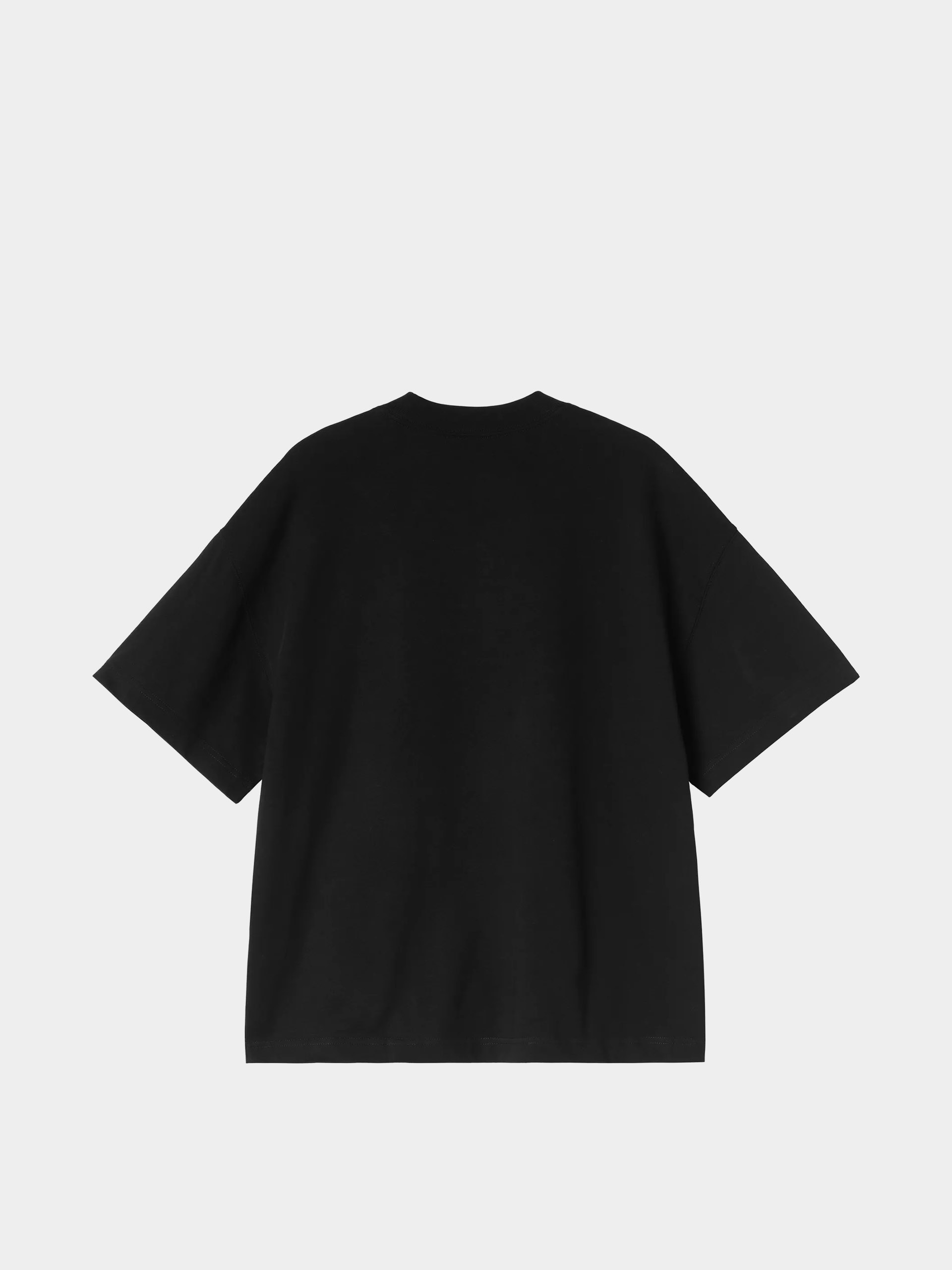 Carhartt WIP T-Shirt Pennon (black)