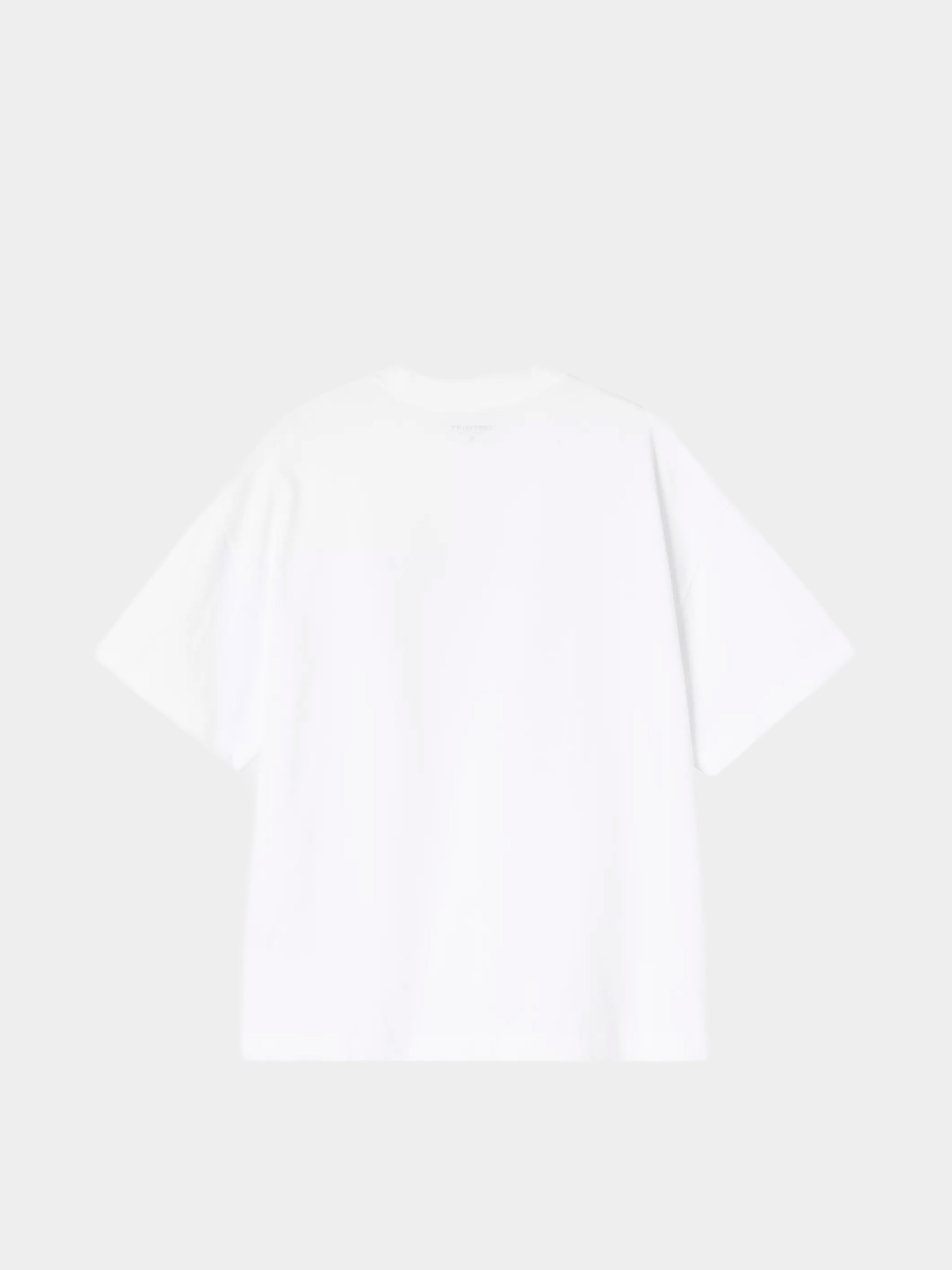 Carhartt WIP T-Shirt Pennon (white)
