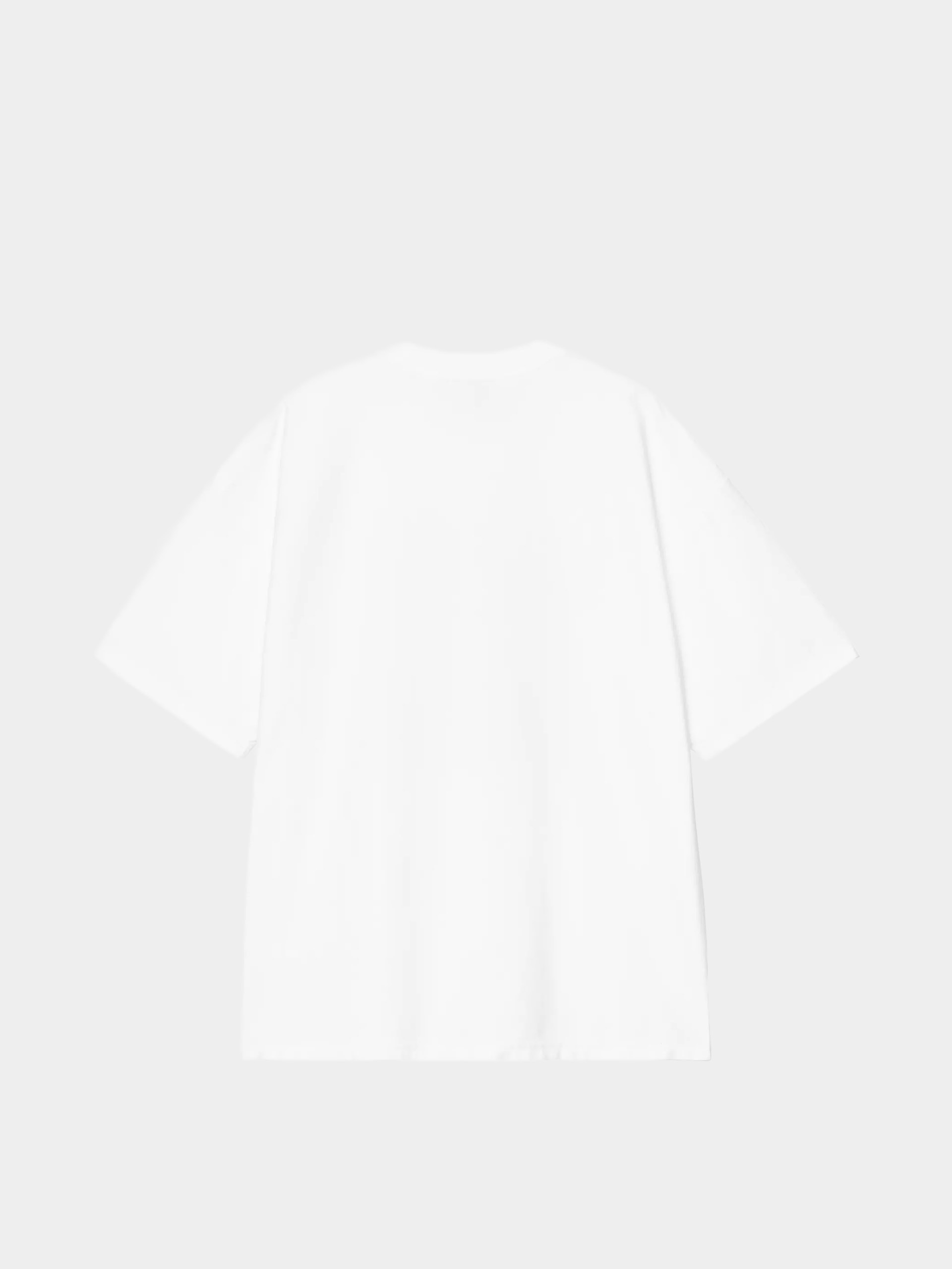 Carhartt WIP T-Shirt 1989 Winners (white/heavy stone wash)