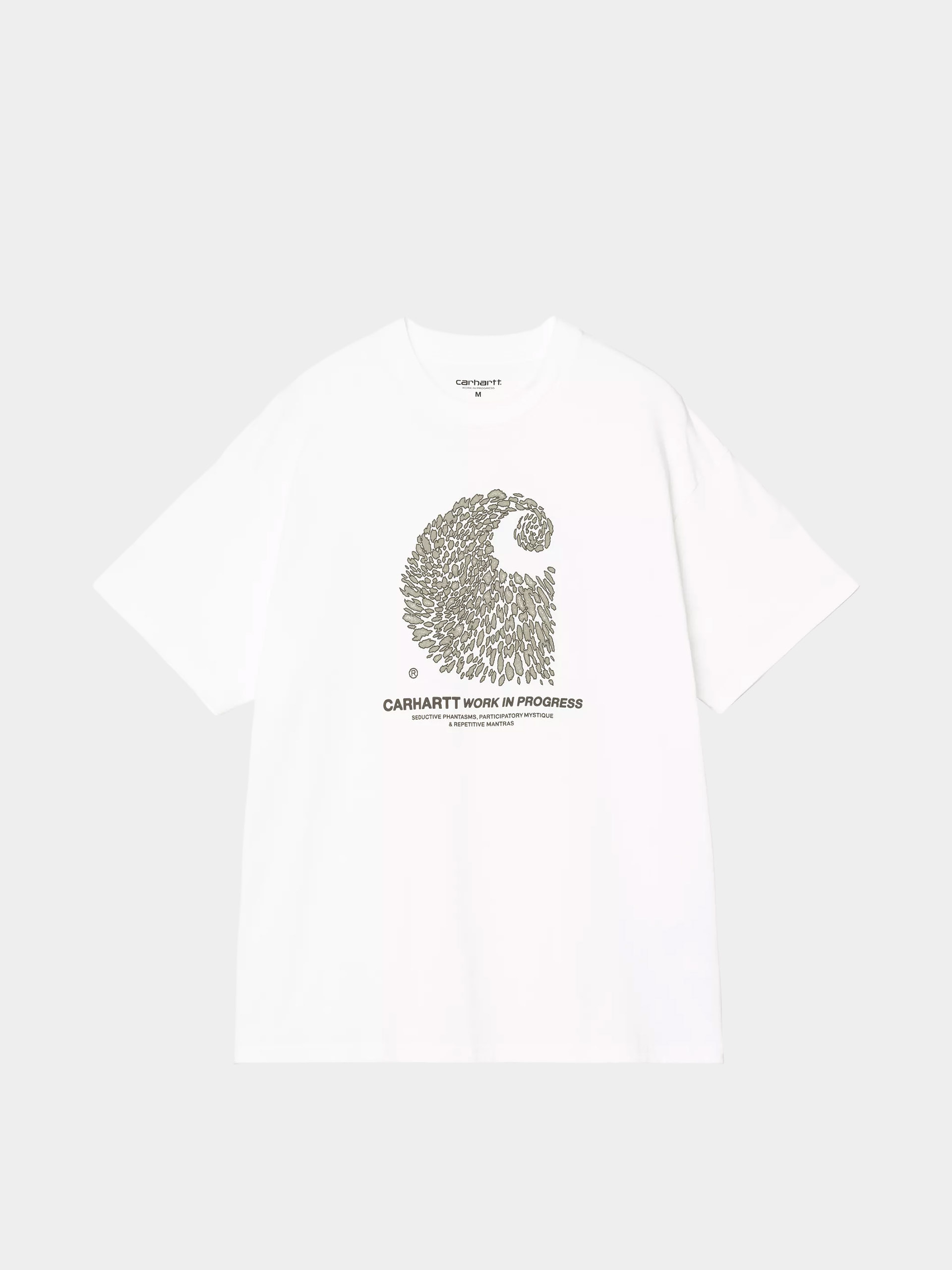 Carhartt WIP T-Shirt Entrance (white)