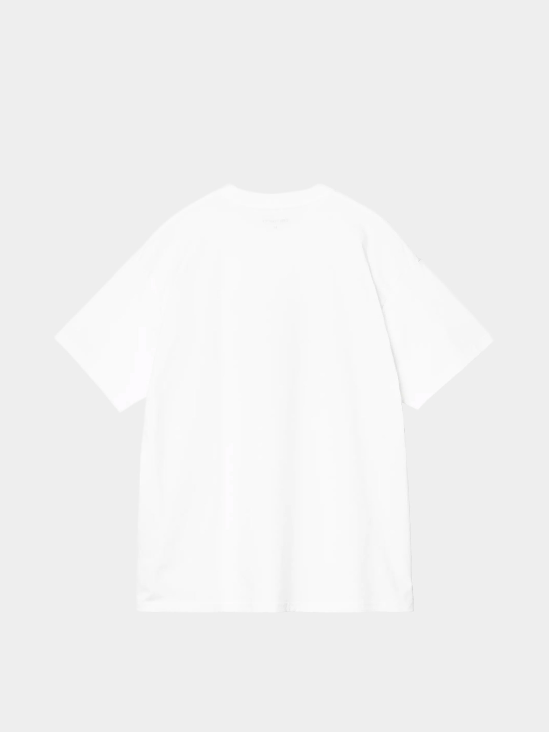 Carhartt WIP T-Shirt Entrance (white)