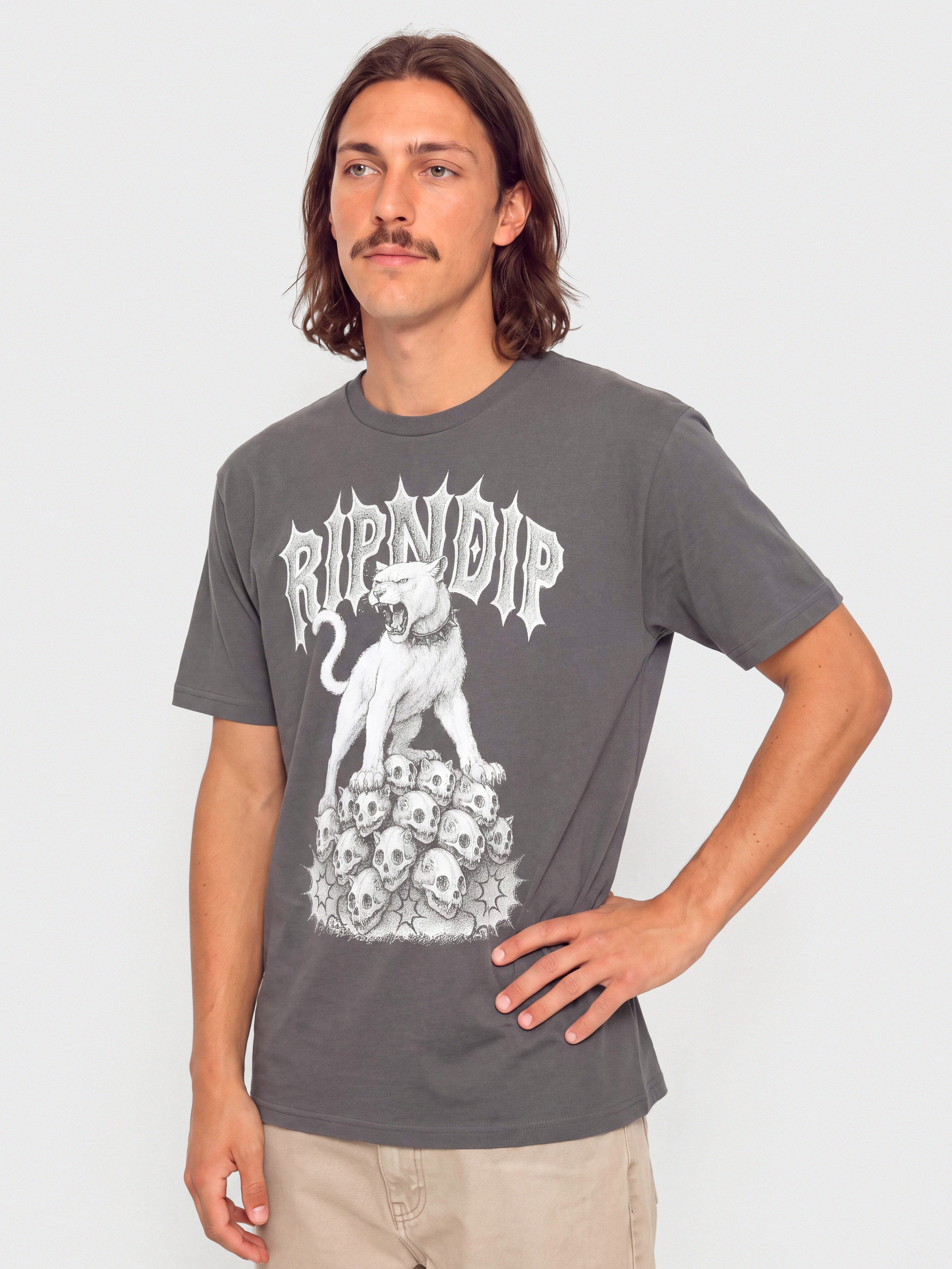 RipNDip T-Shirt Wasteland (charcoal)