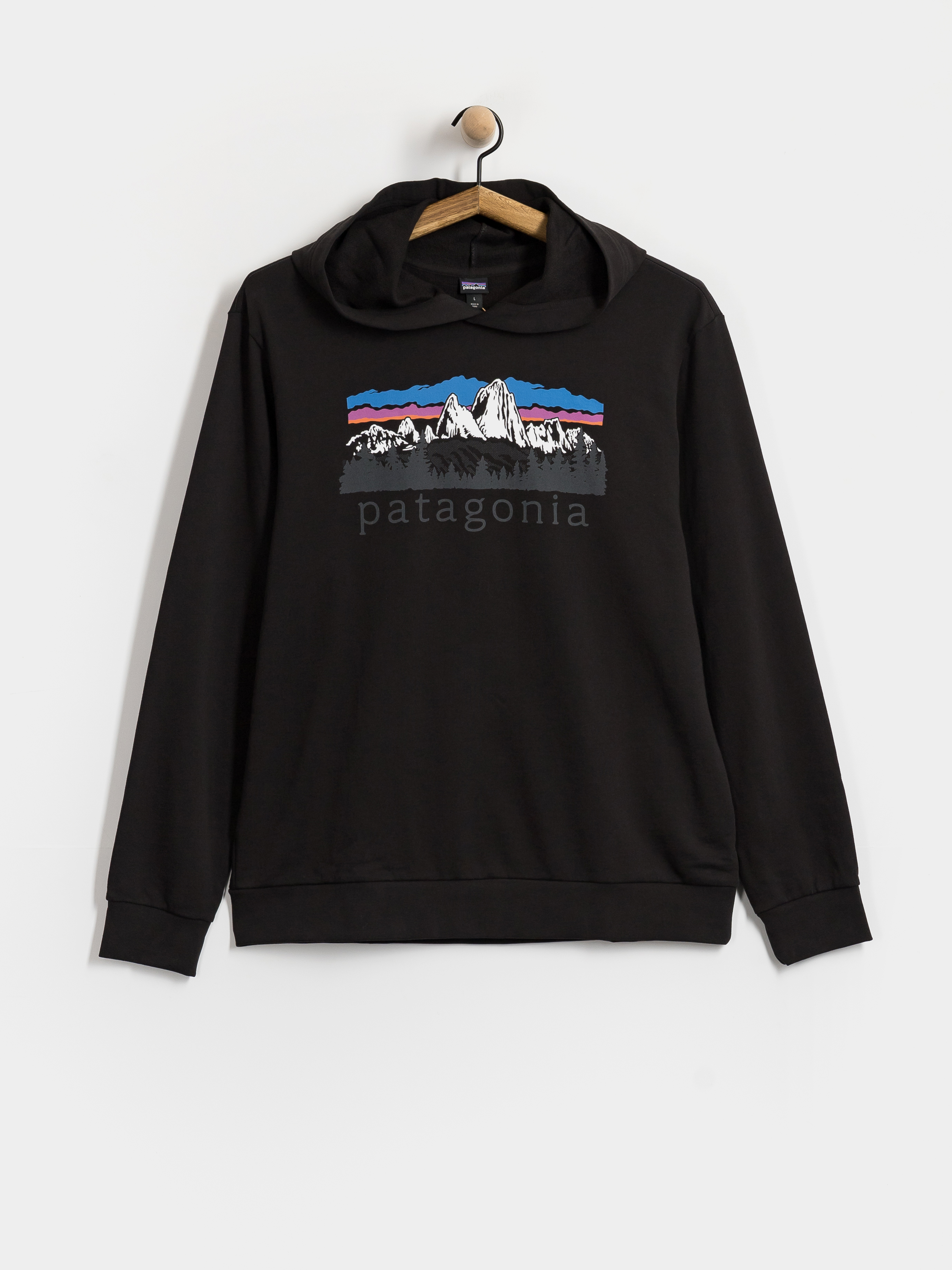 Patagonia Hoodie Fitz Roy Foothills Daily HD (black)