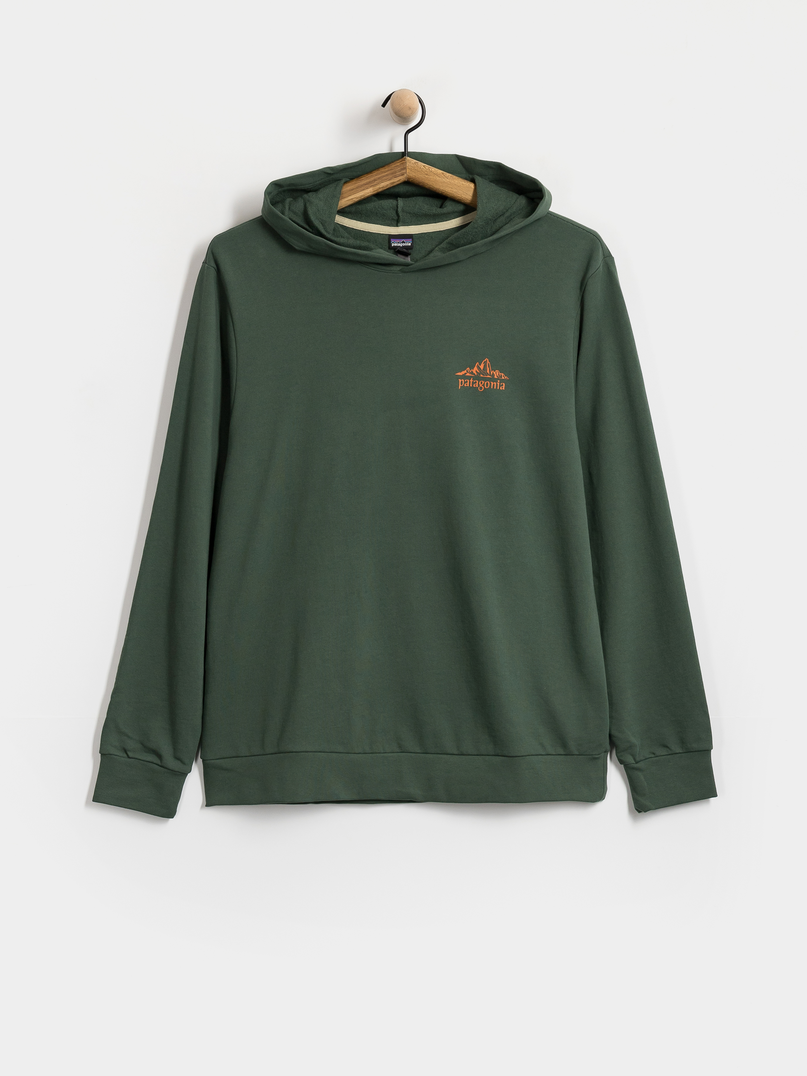 Patagonia Hoodie Cloud Crag Daily HD (canopy green)