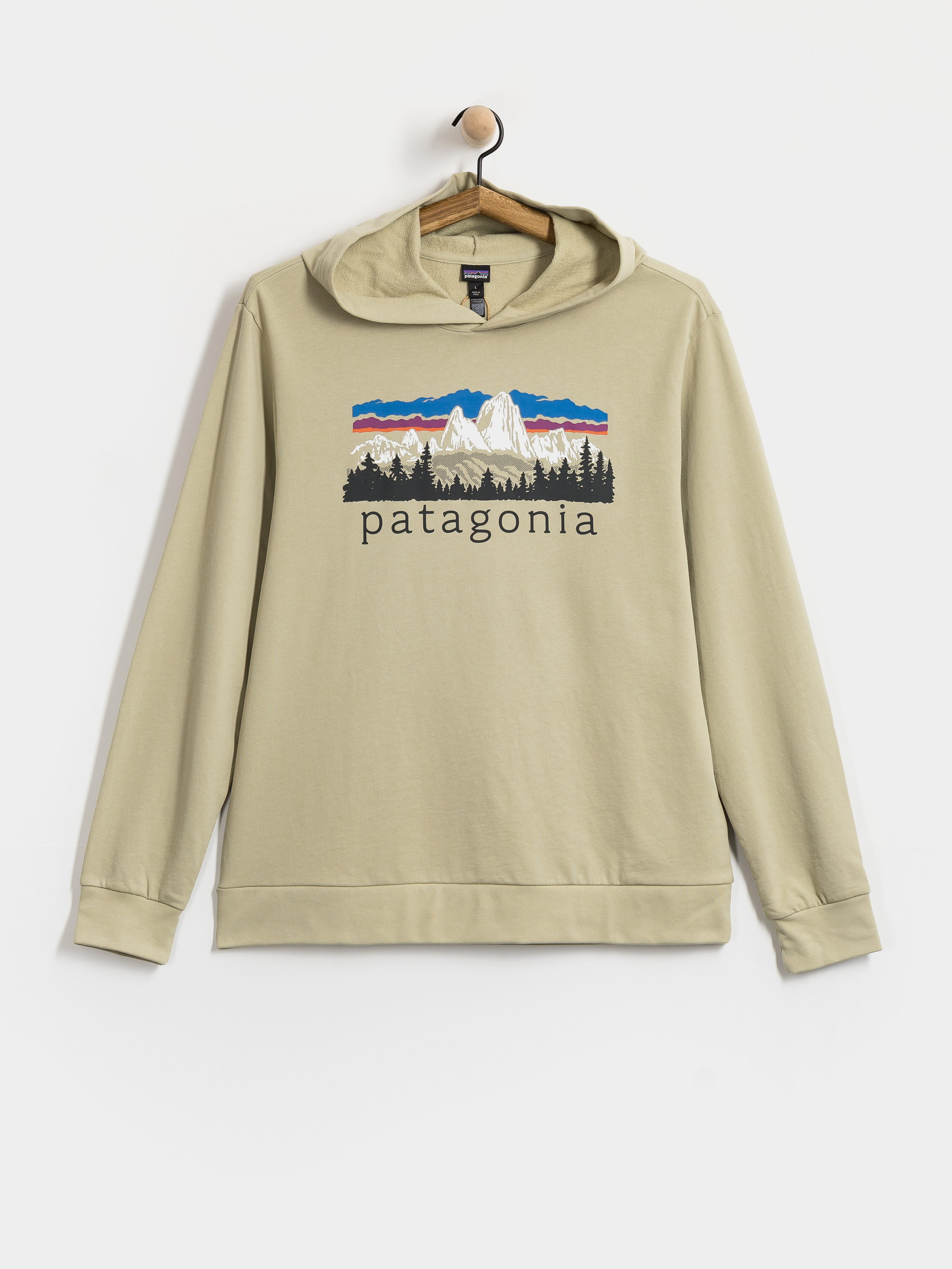 Patagonia Hoodie Fitz Roy Foothills Daily HD (weathered stone)