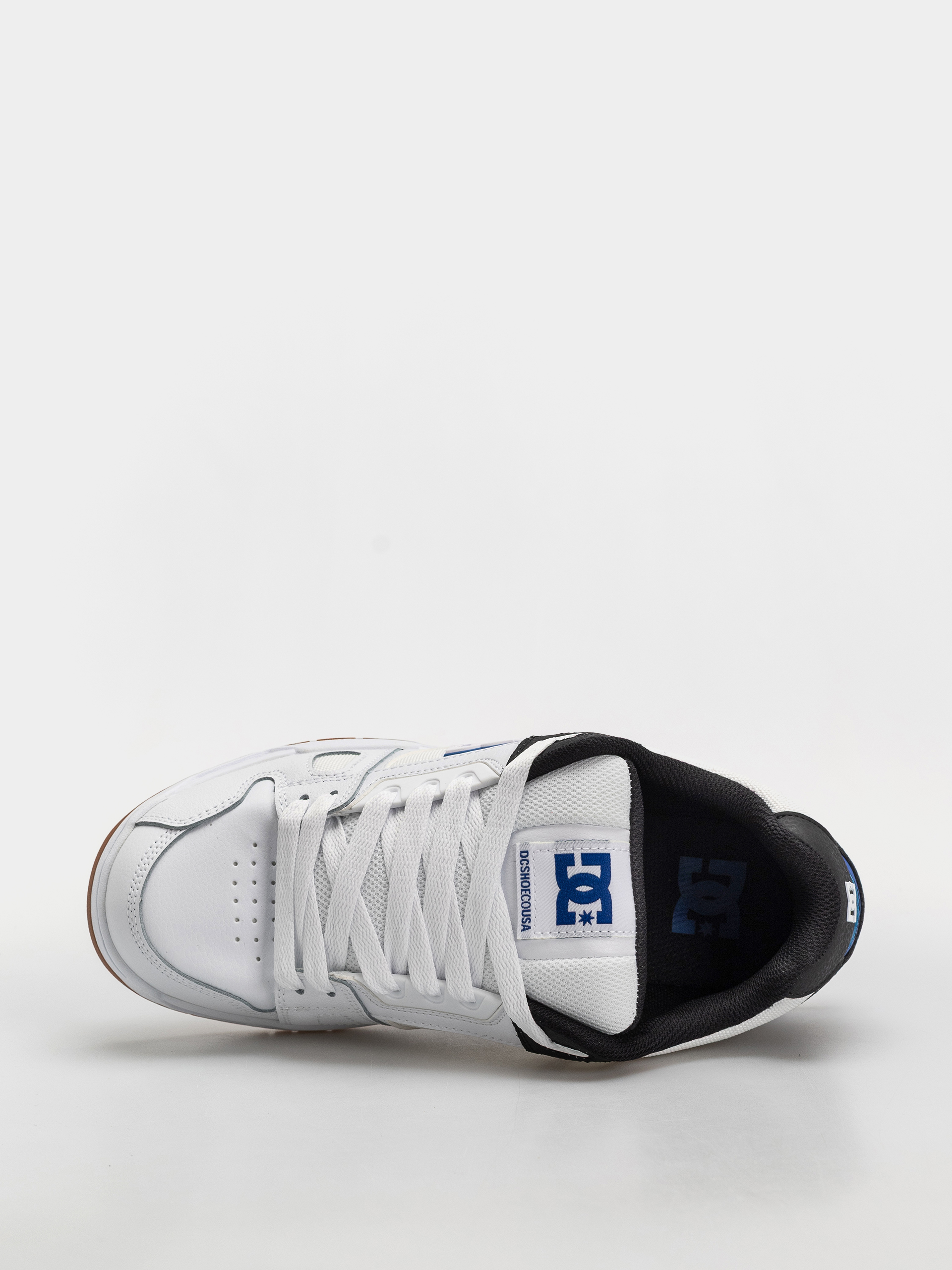 DC Stag Schuhe (white/black/blue)