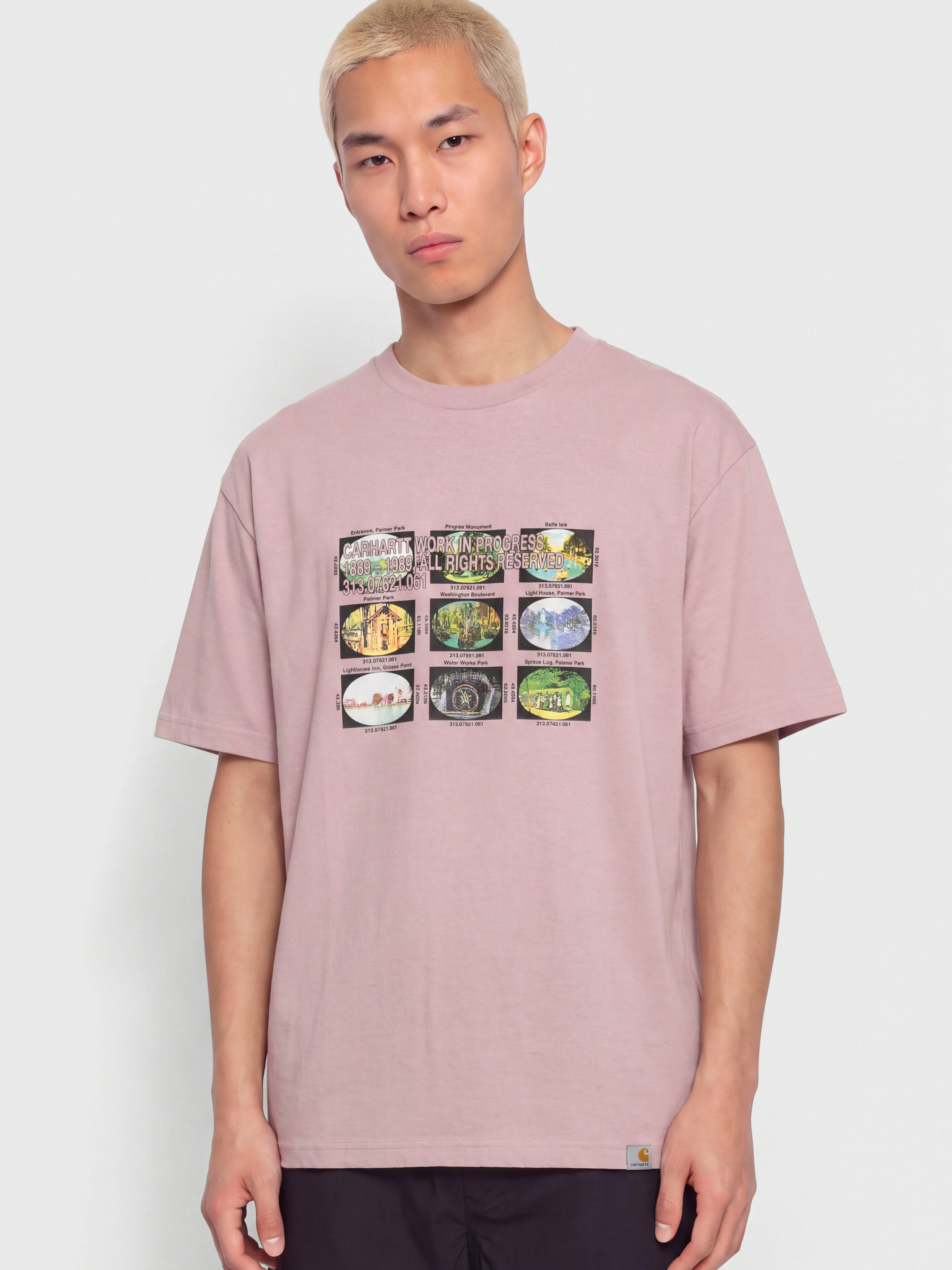 Carhartt WIP T-Shirt Coordinates (hortensia)