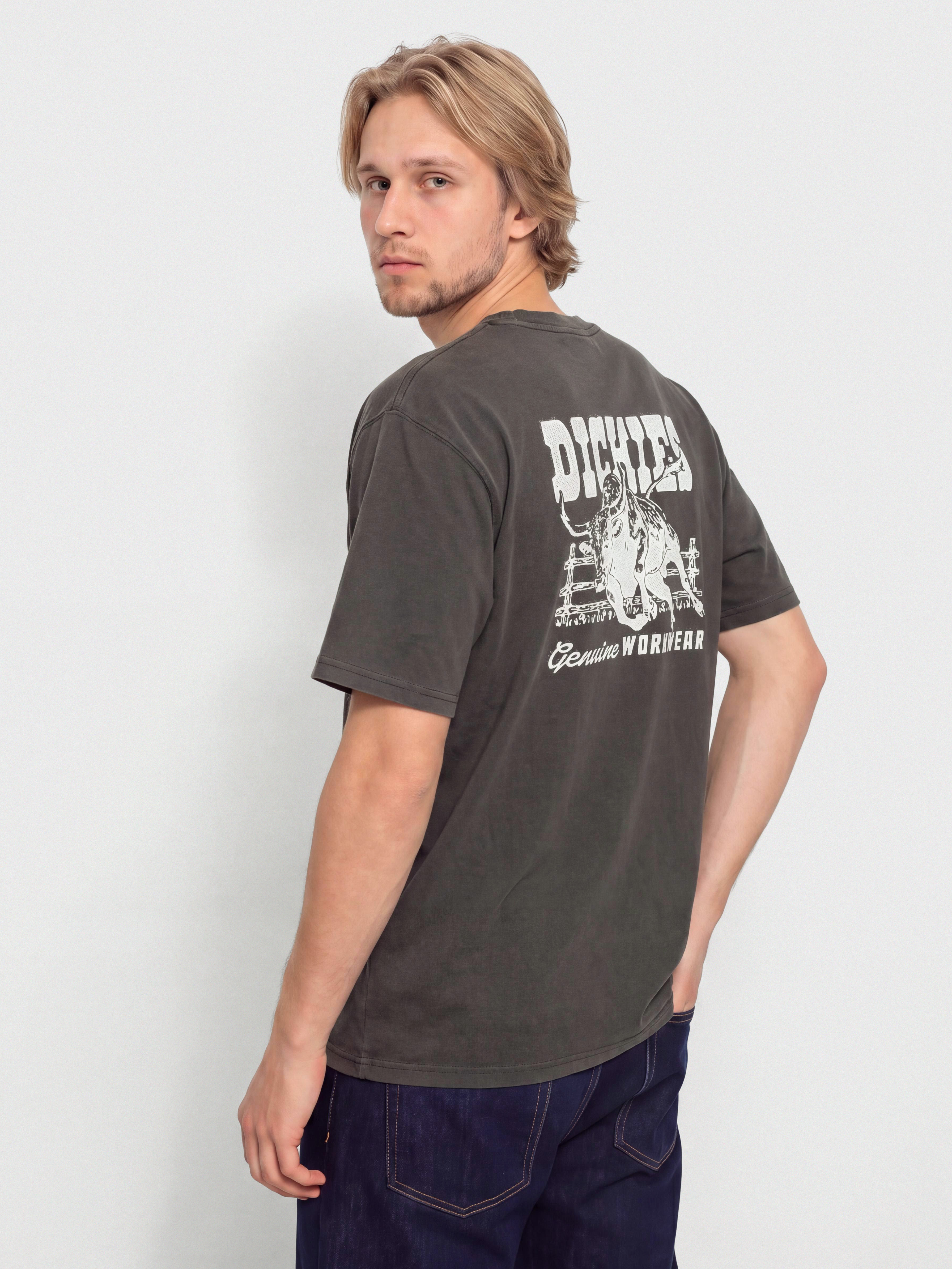 Dickies Buchtell T-Shirt (black)