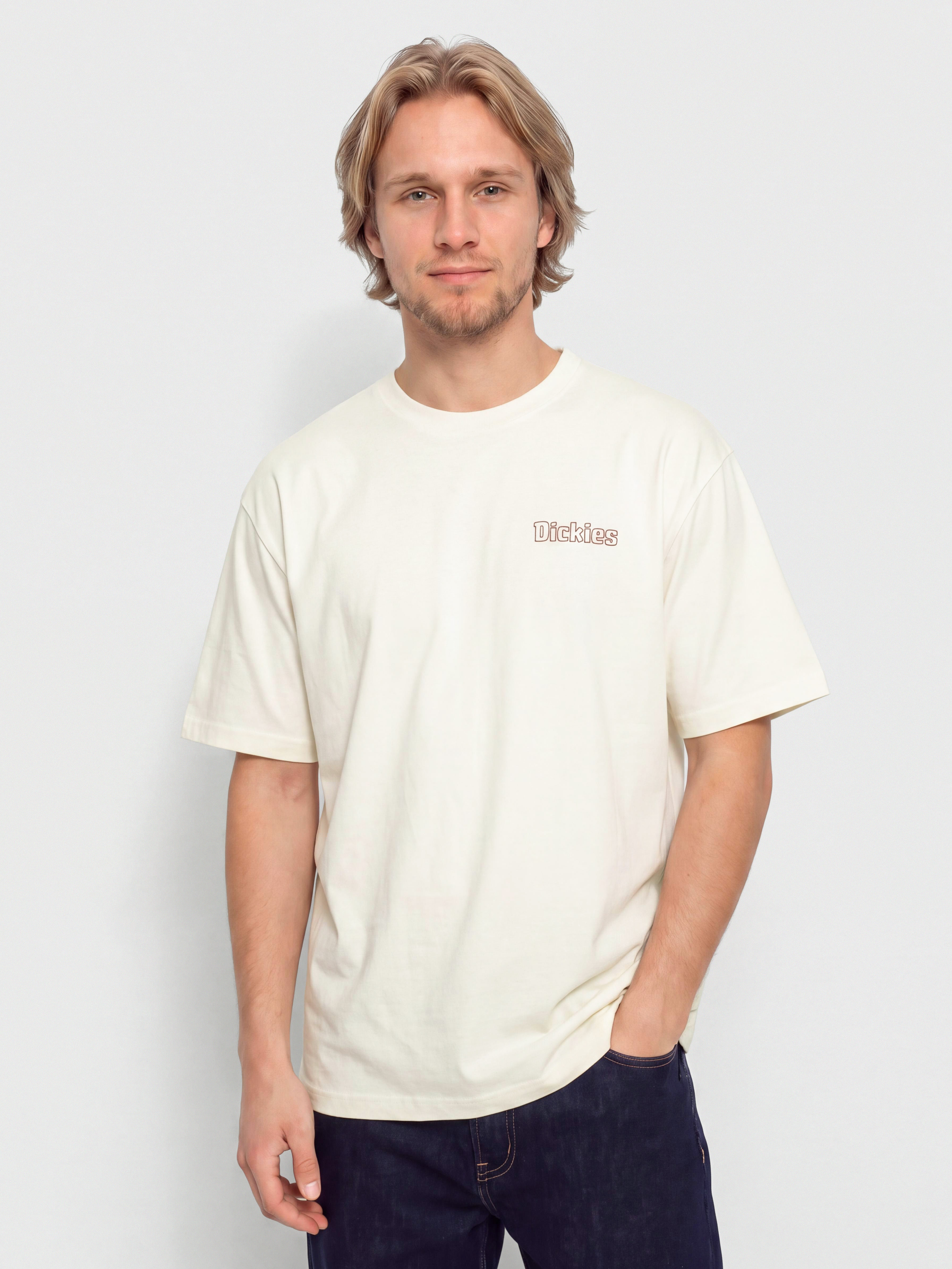 Dickies Fairlawn T-Shirt (egret)
