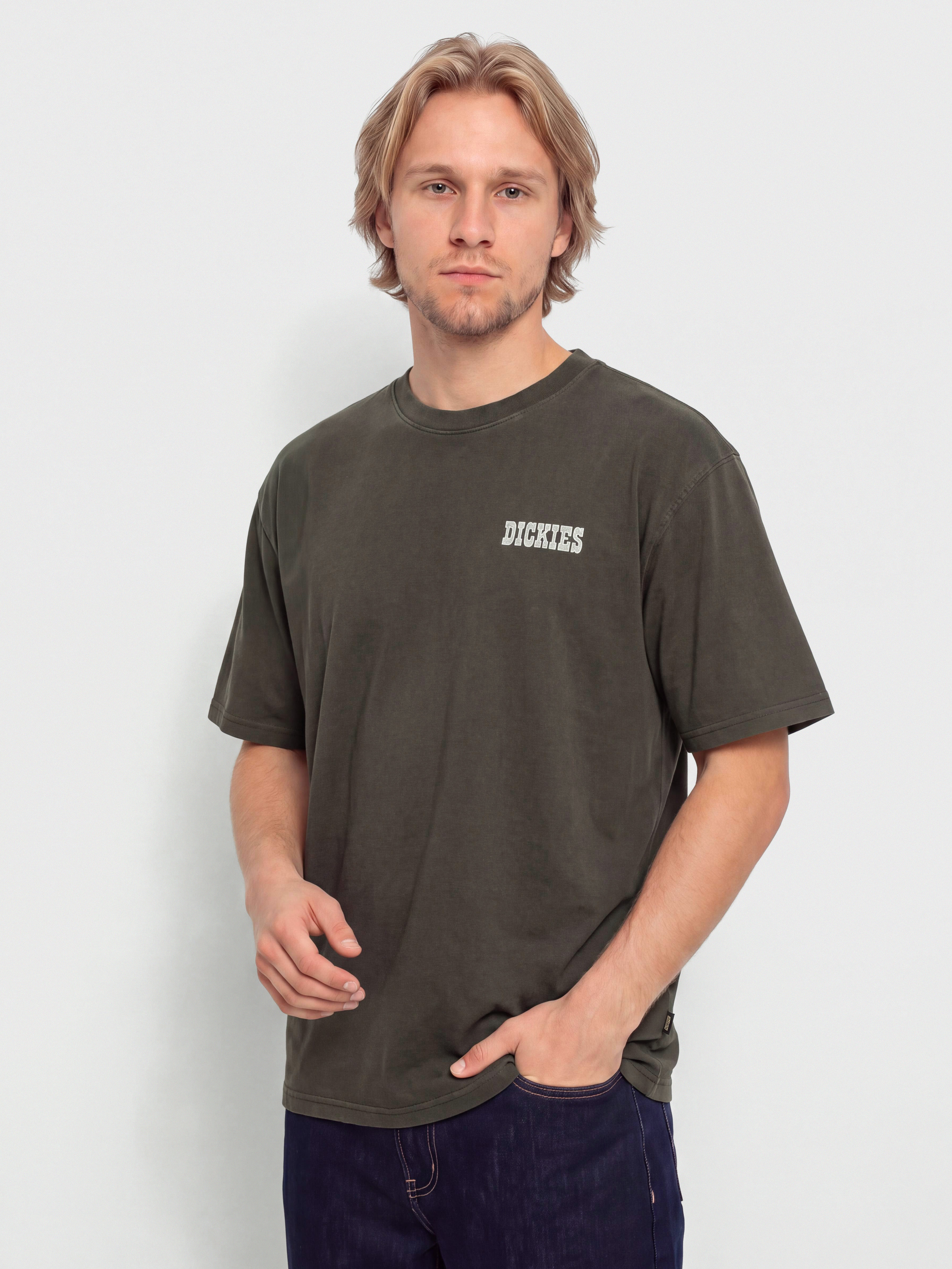 Dickies Buchtell T-Shirt (black)