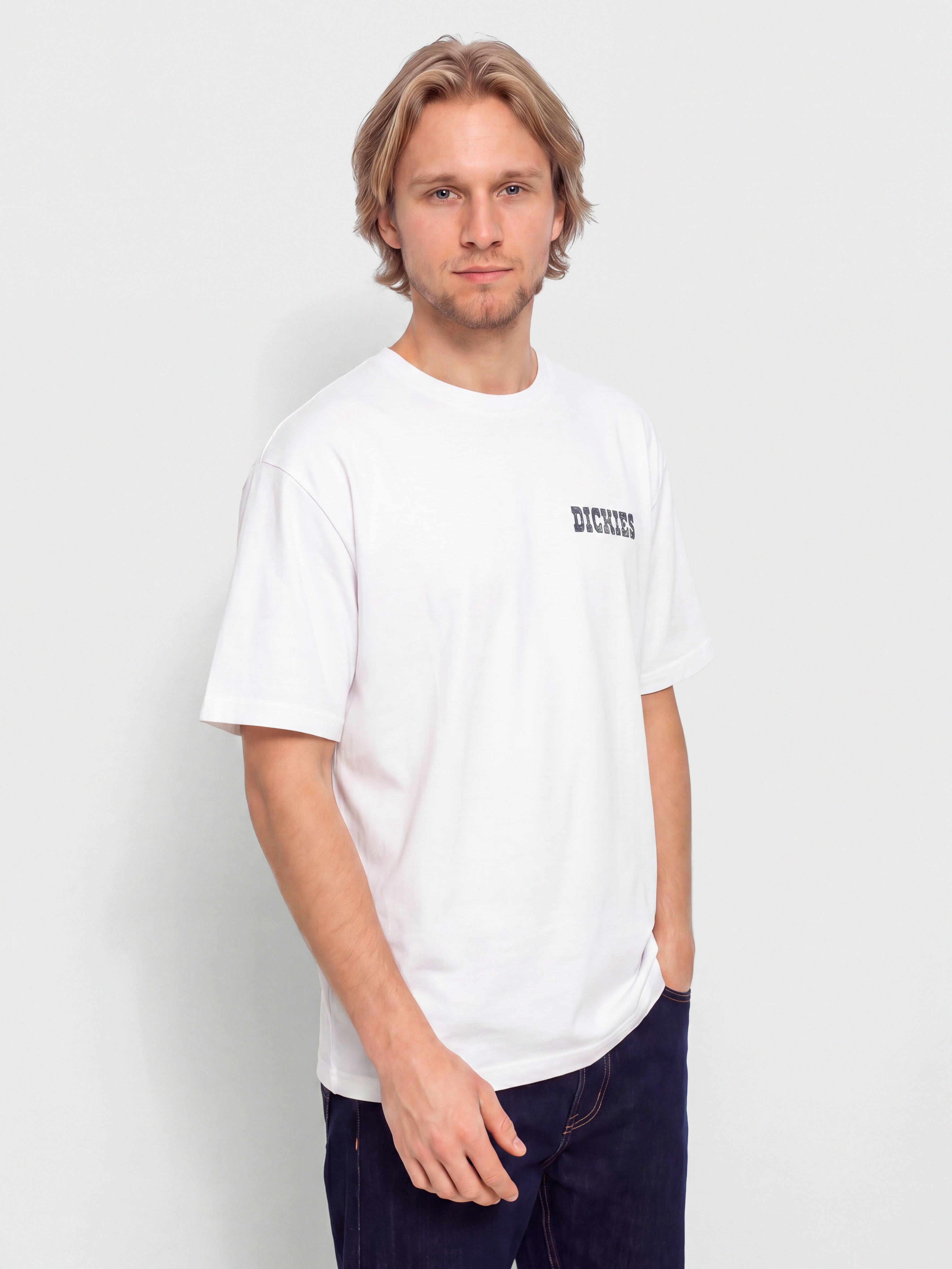 Dickies Plain City T-Shirt (white)