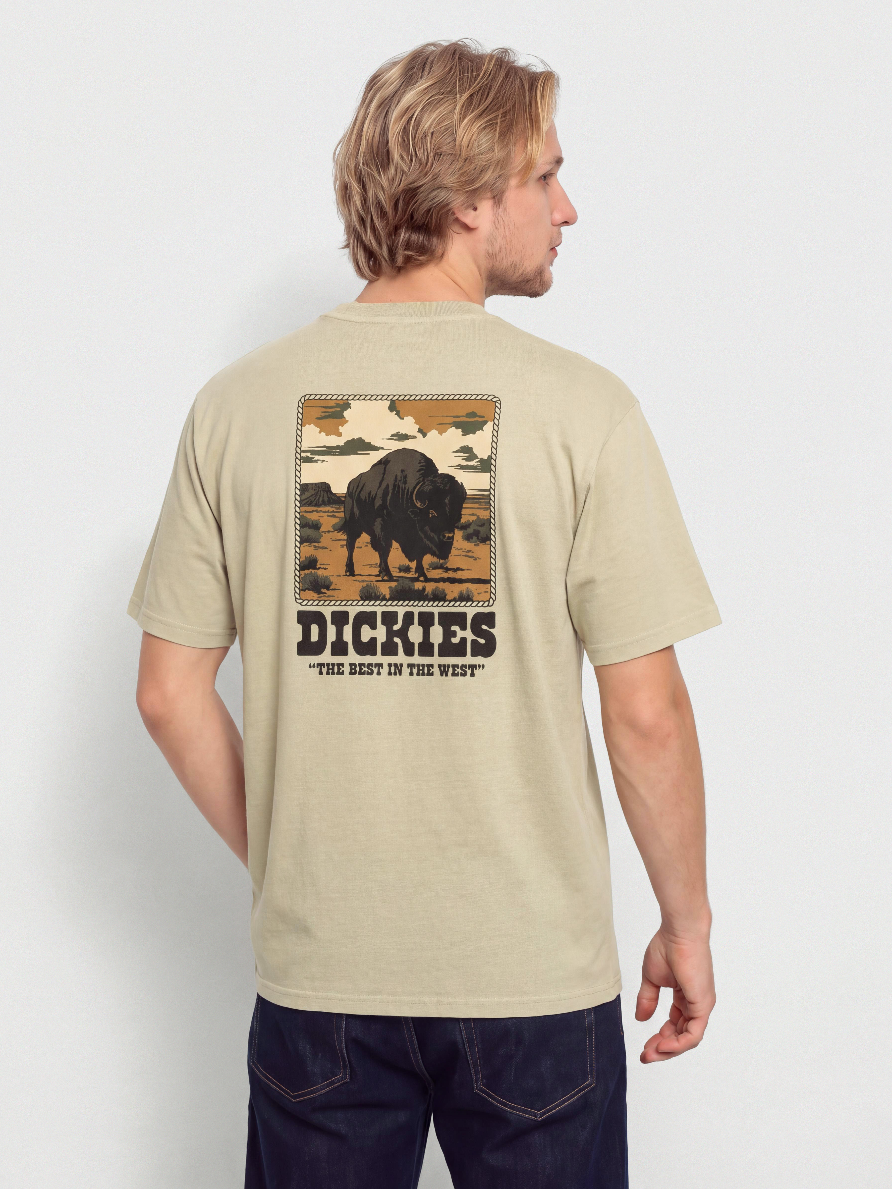 Dickies Darrtown T-Shirt (eucalyptus)
