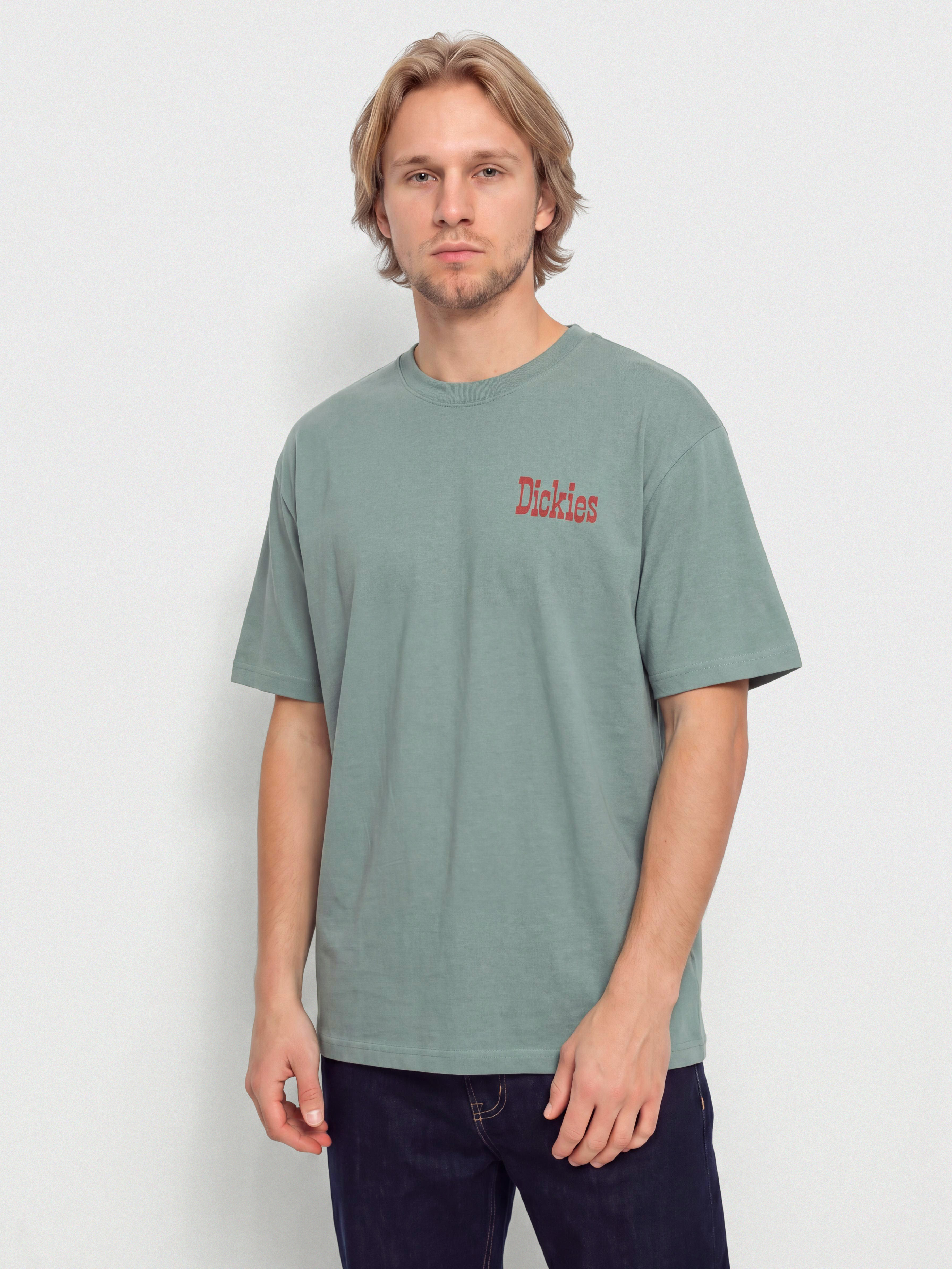 Dickies Polk T-Shirt (stormy sea)