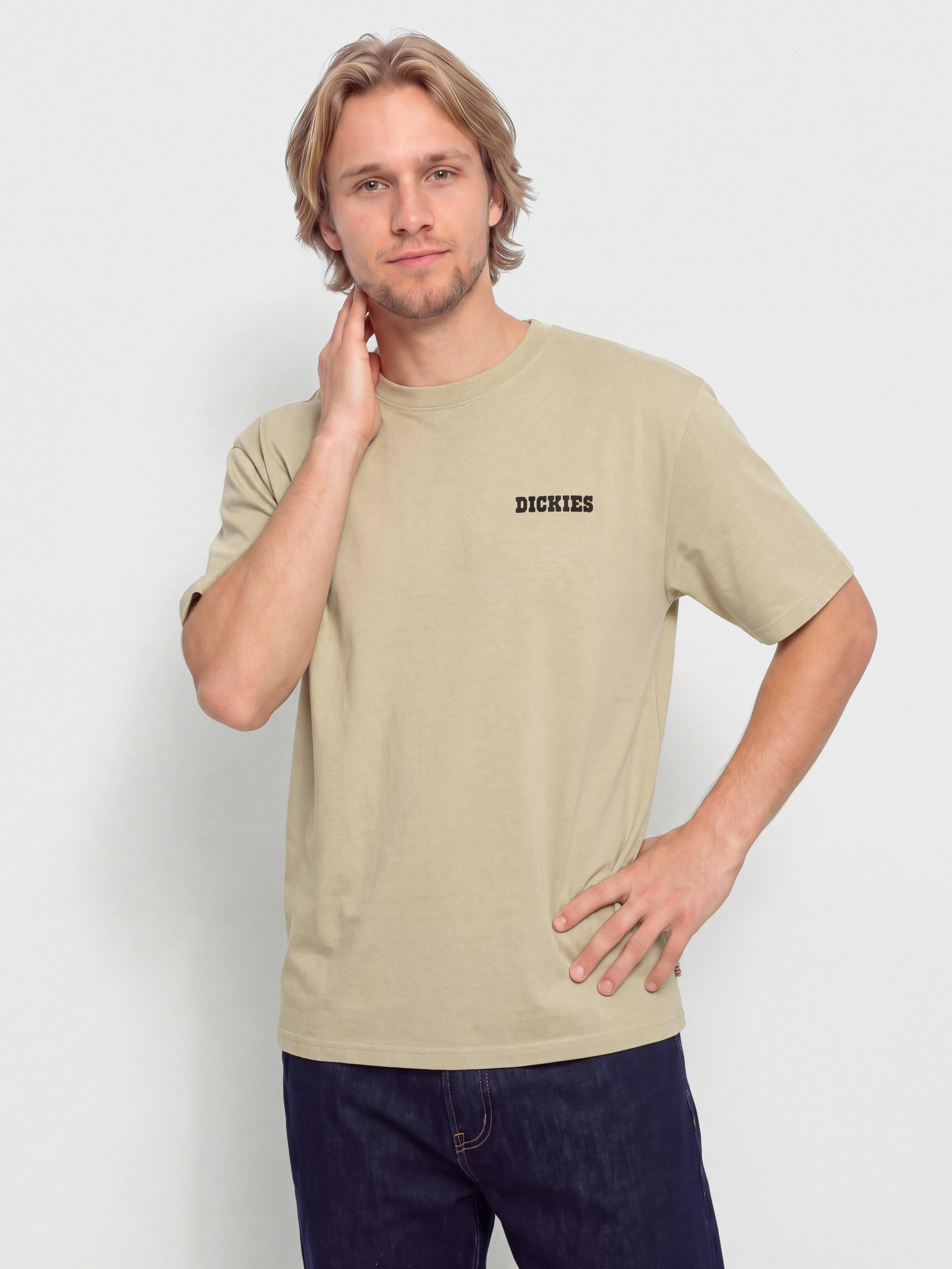 Dickies Darrtown T-Shirt (eucalyptus)