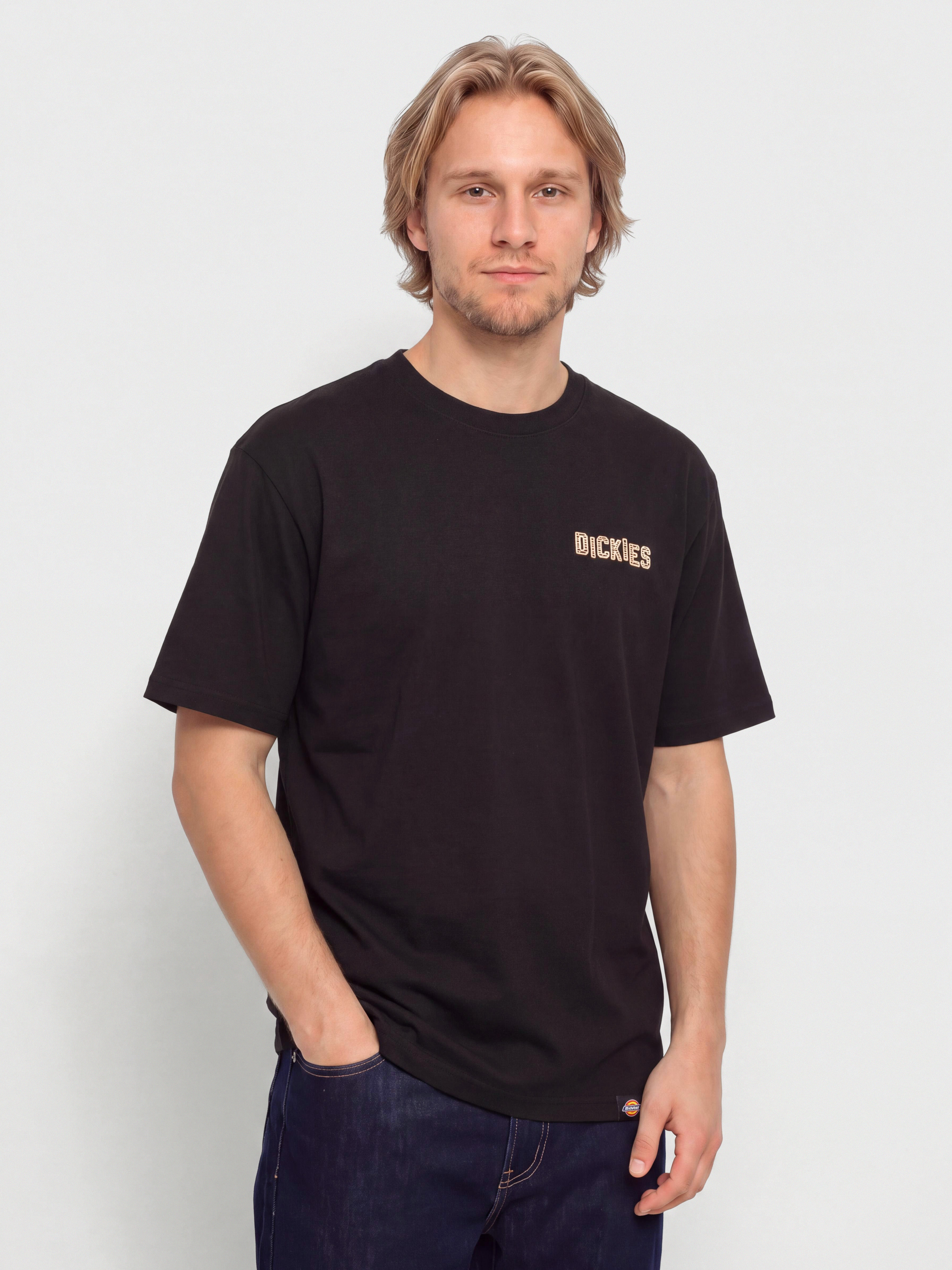 Dickies Bricklane T-Shirt (black)
