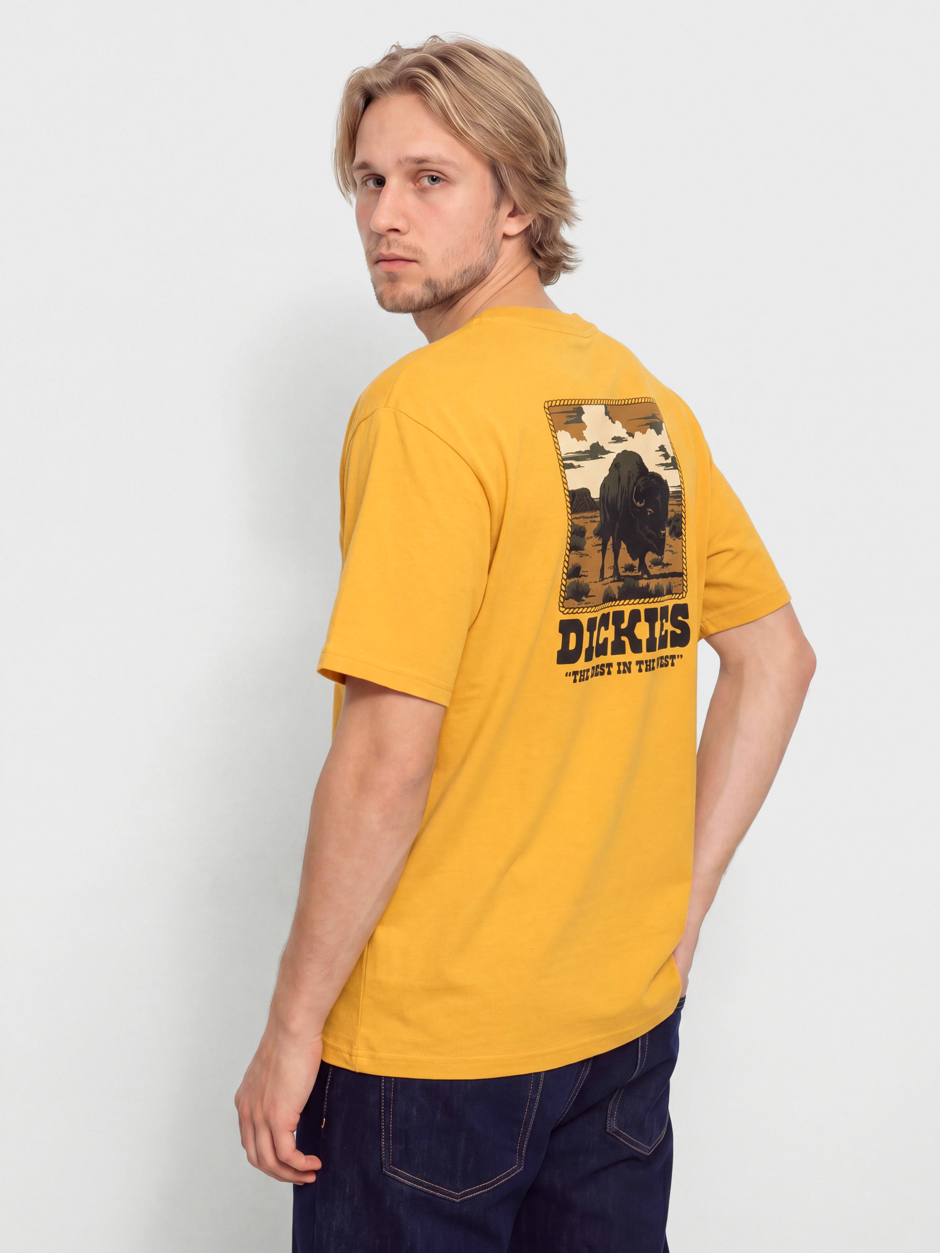Dickies Darrtown T-Shirt (sunflower)