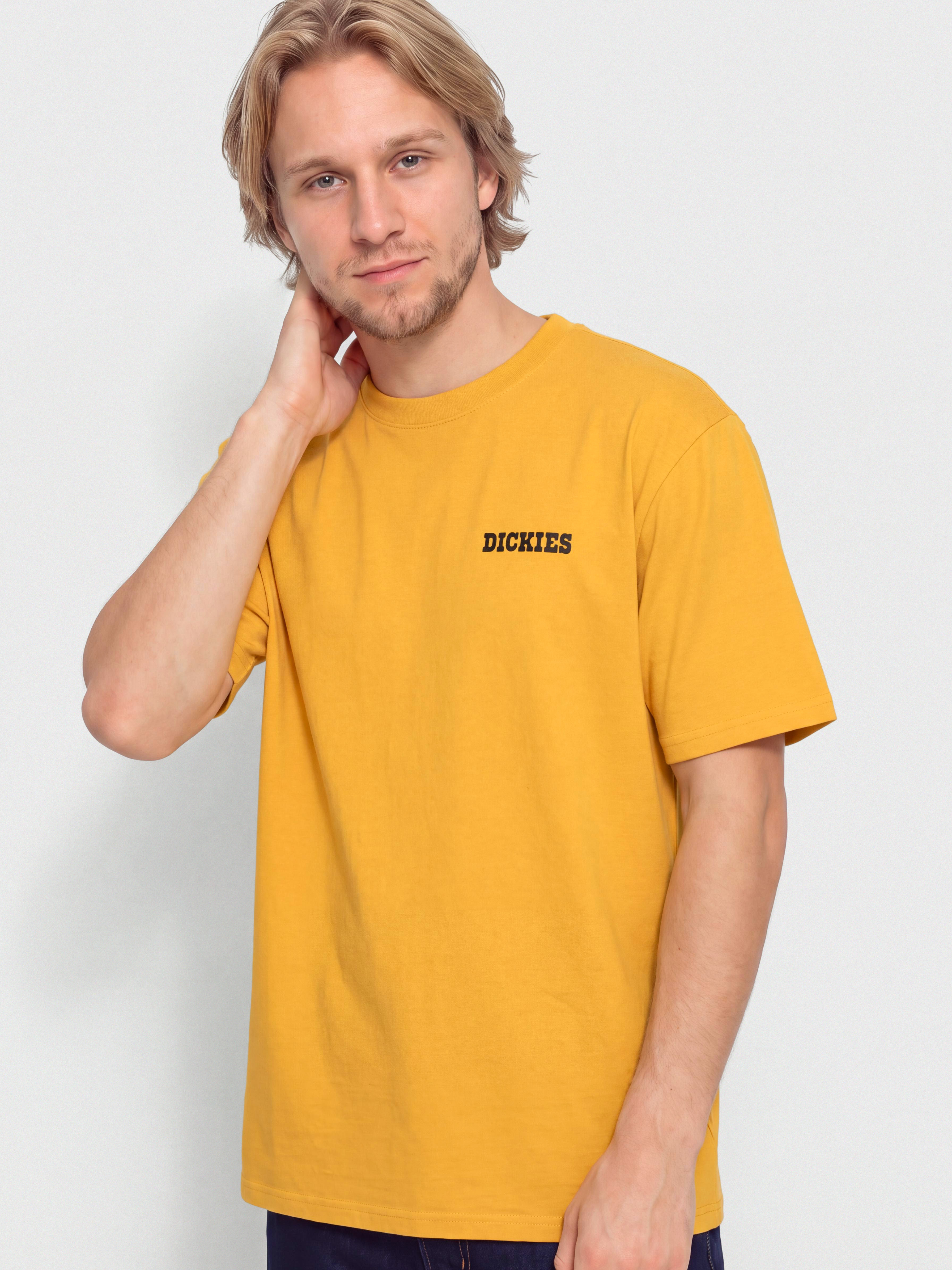 Dickies Darrtown T-Shirt (sunflower)