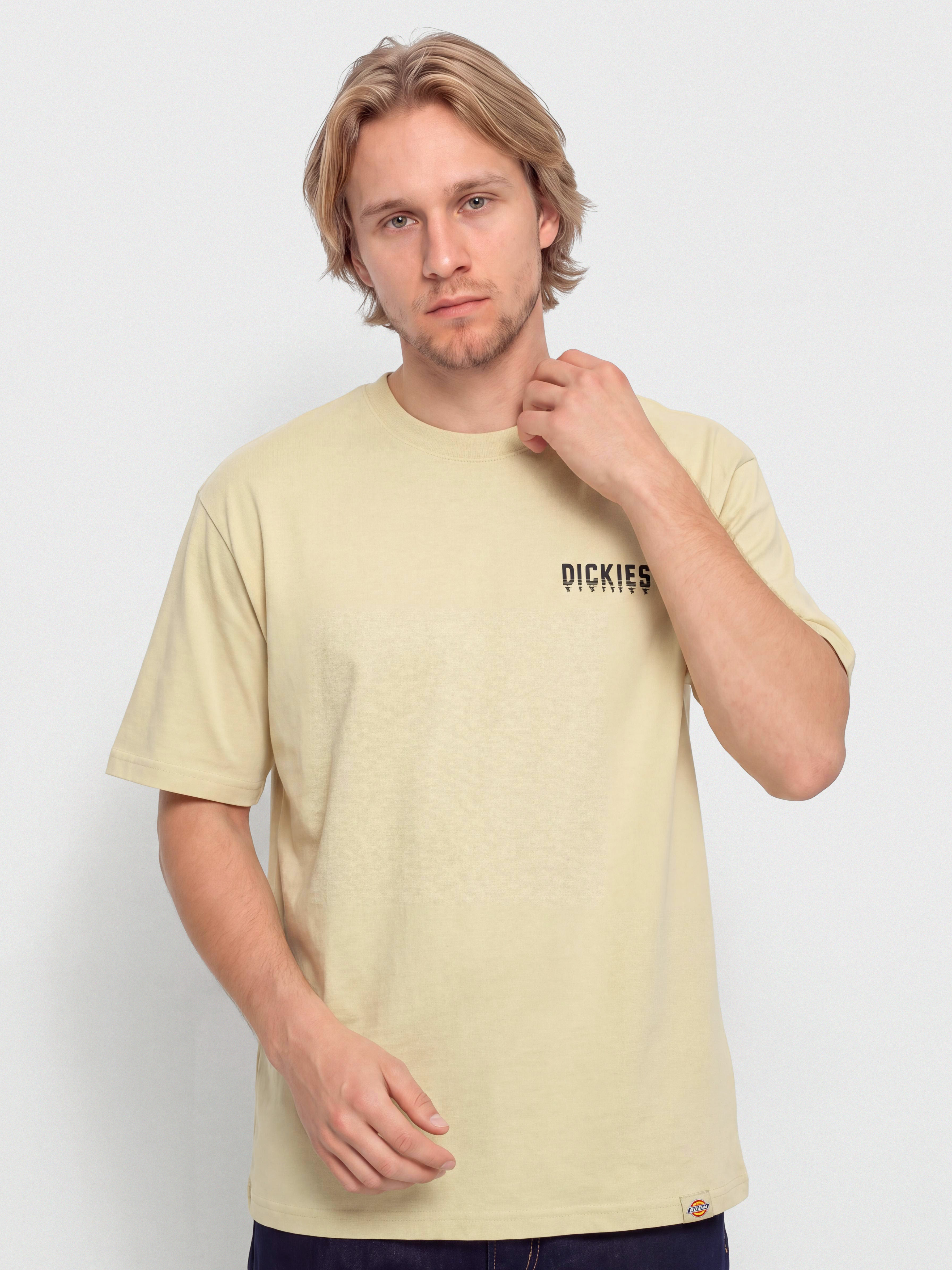 Dickies Pelham T-Shirt (wood ash)