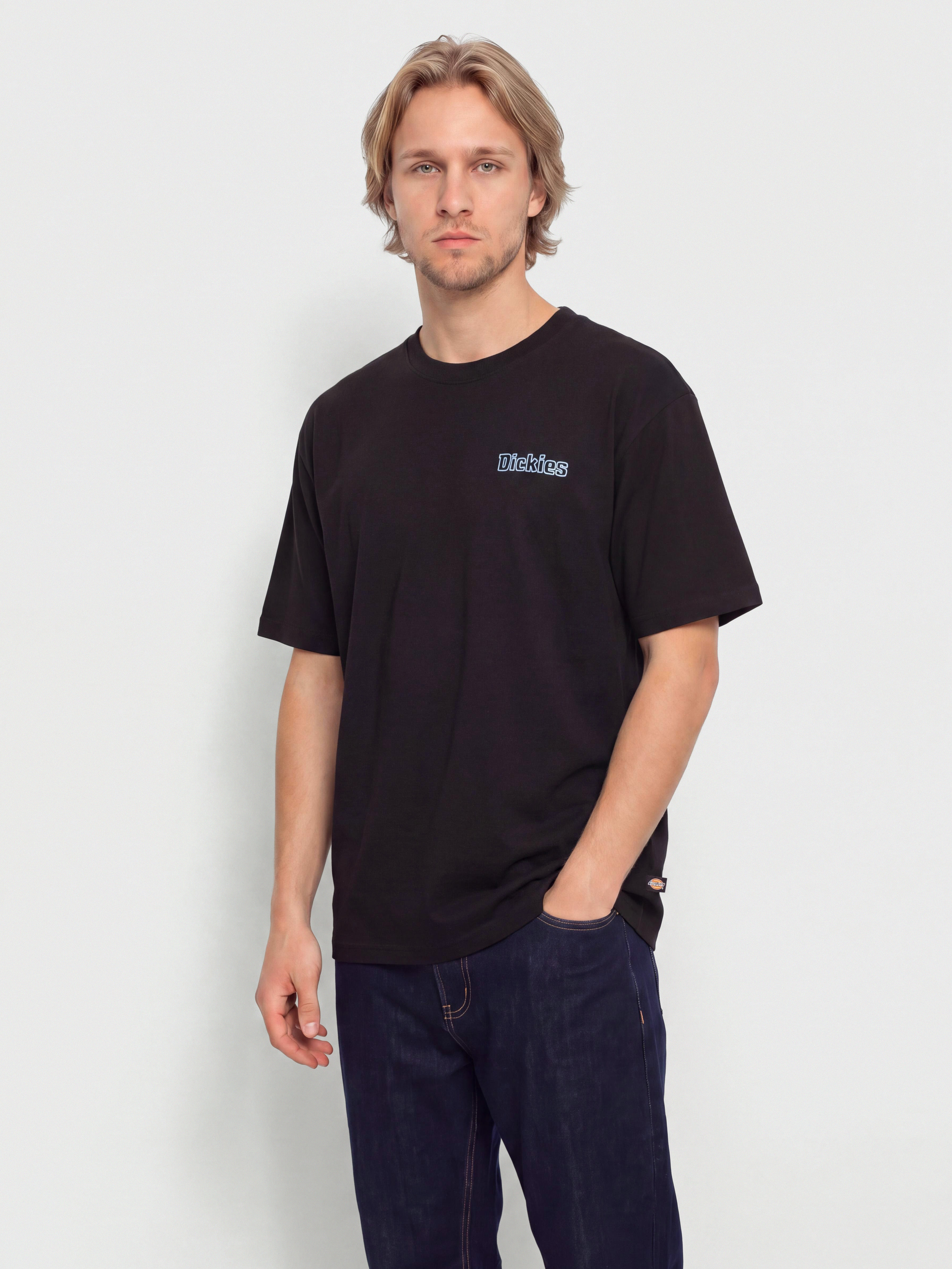 Dickies Fairlawn T-Shirt (black)