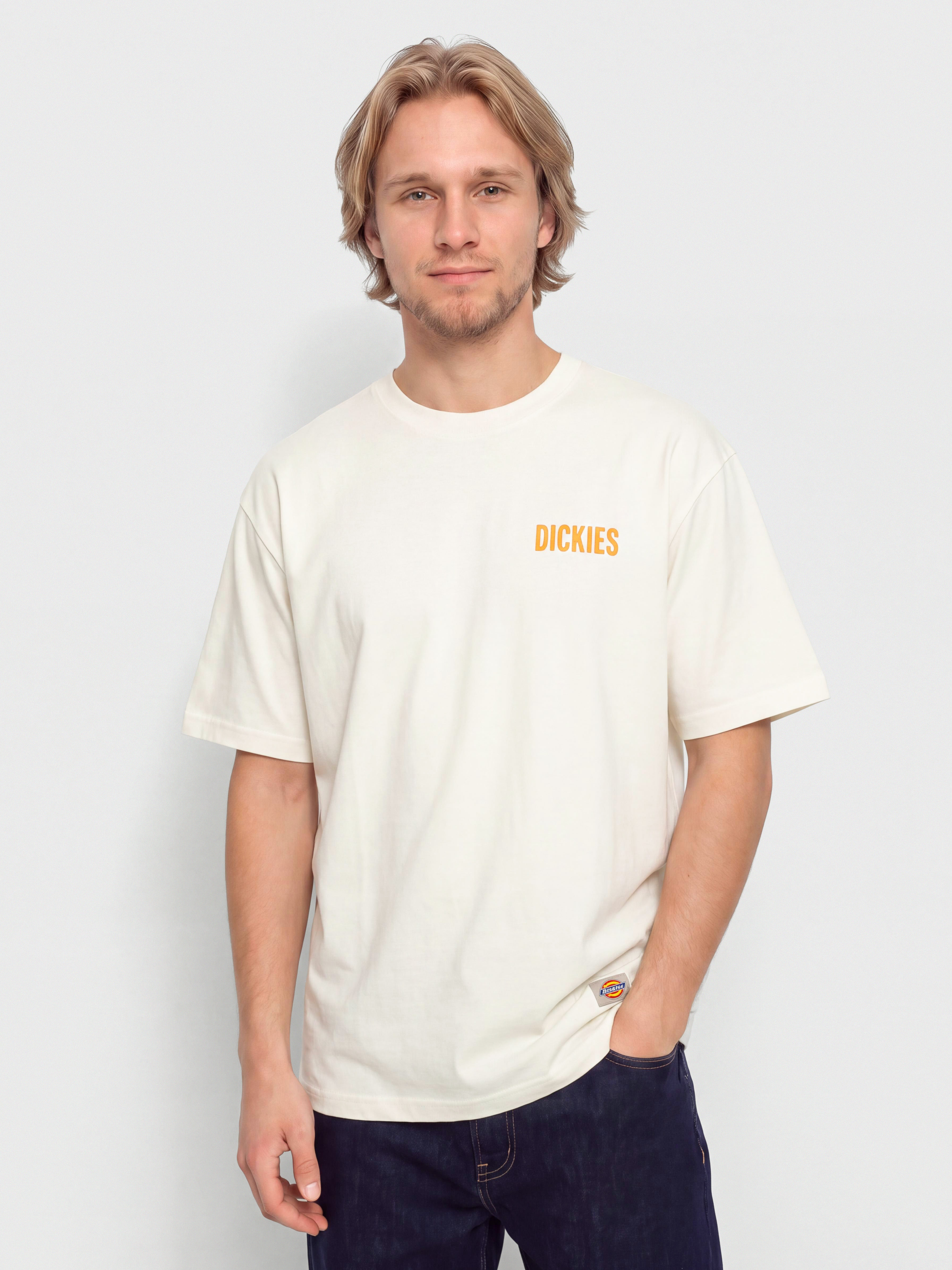 Dickies Wolfhurst T-Shirt (egret)