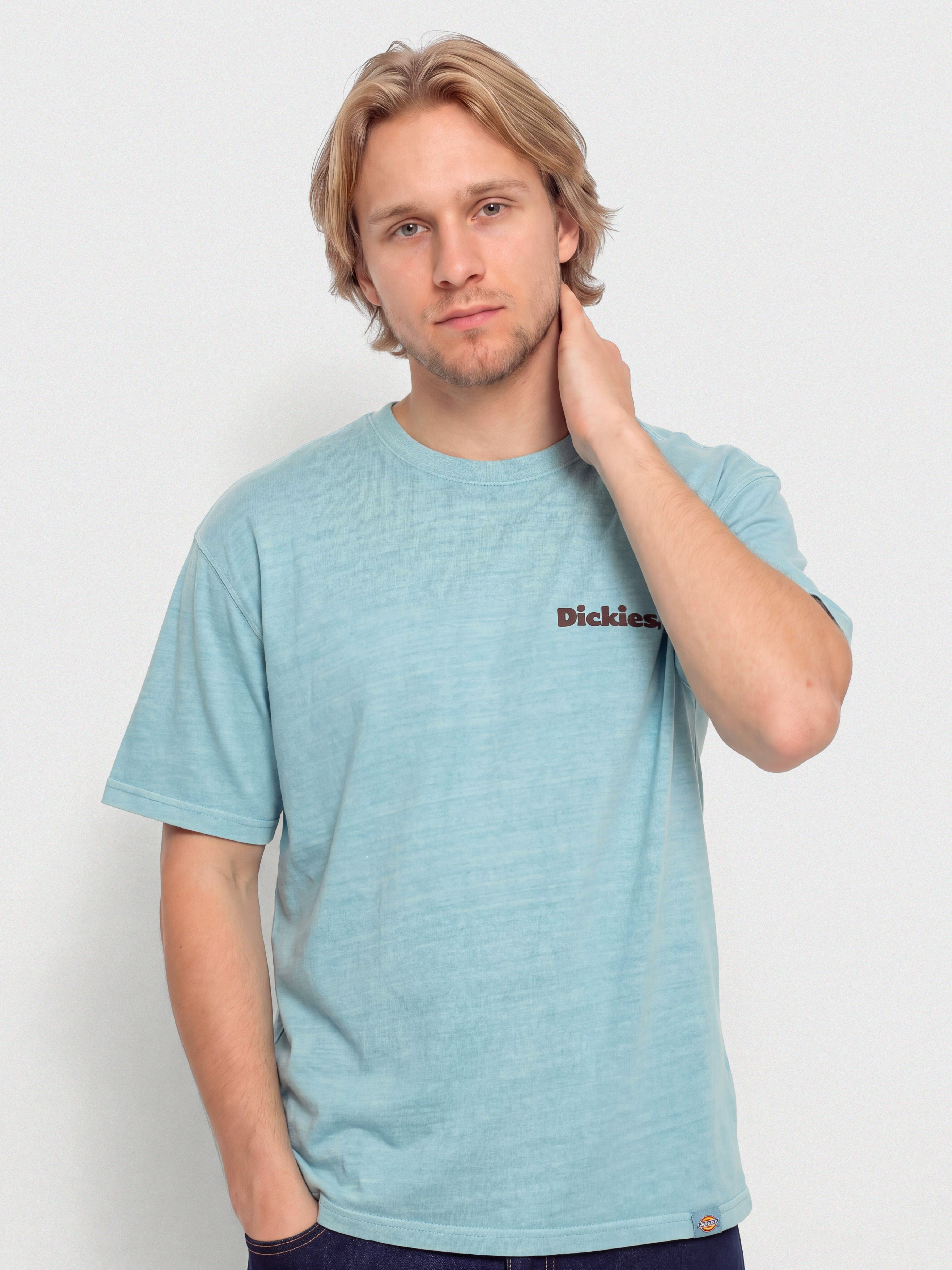 Dickies Slayden T-Shirt (glacier lake)