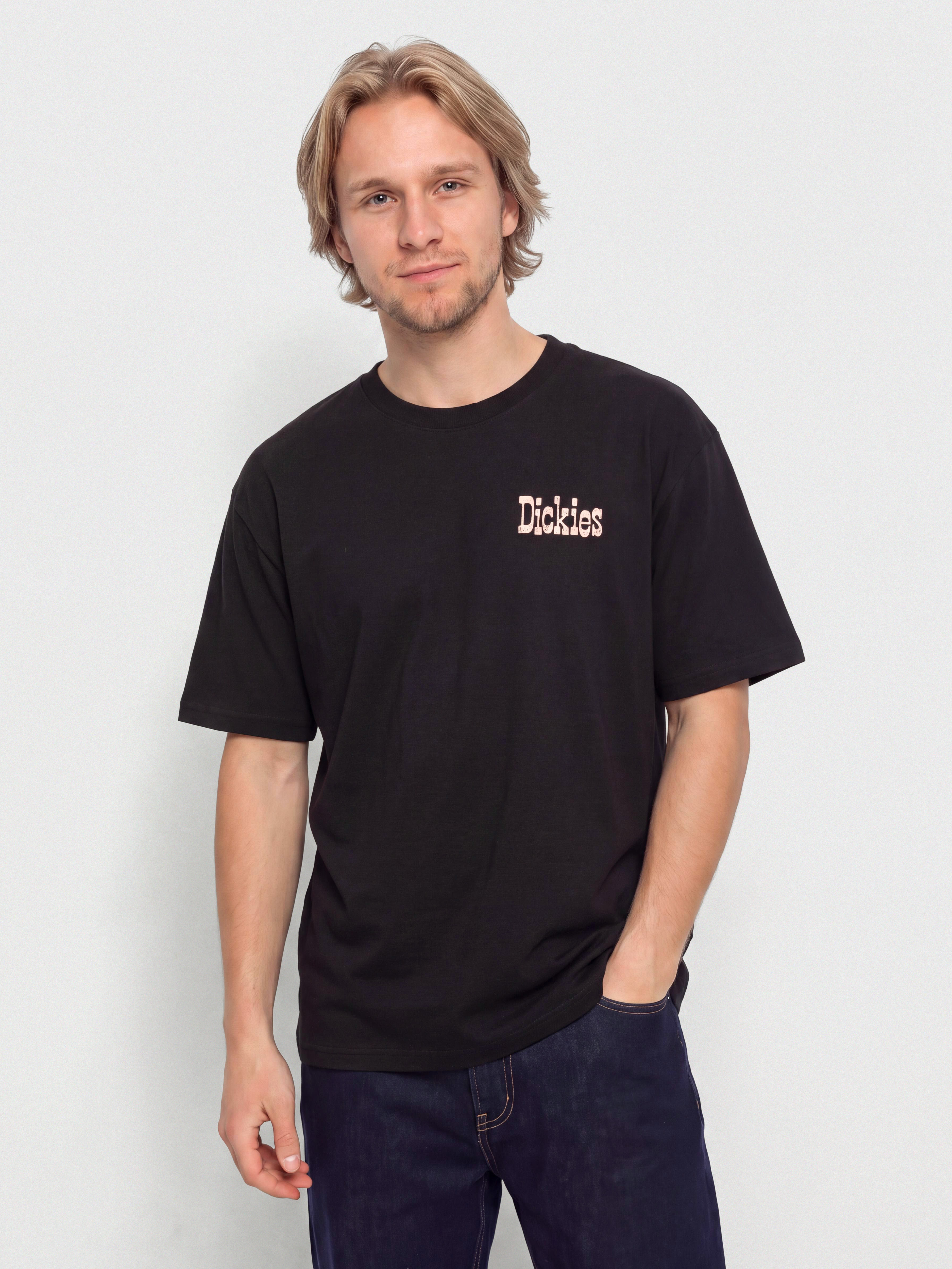 Dickies Polk T-Shirt (black)