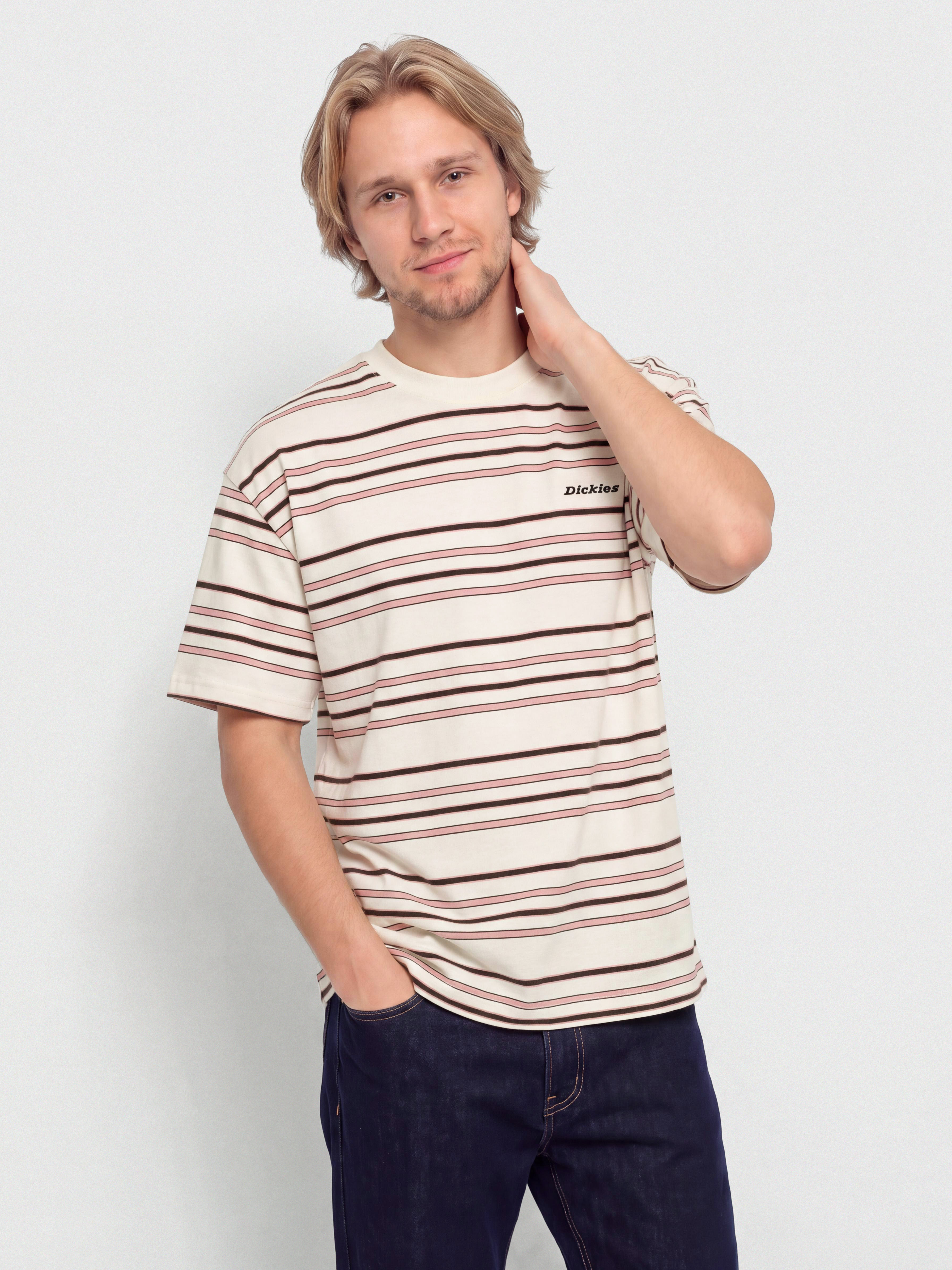 Dickies East Liberty Stripe T-Shirt (egret)
