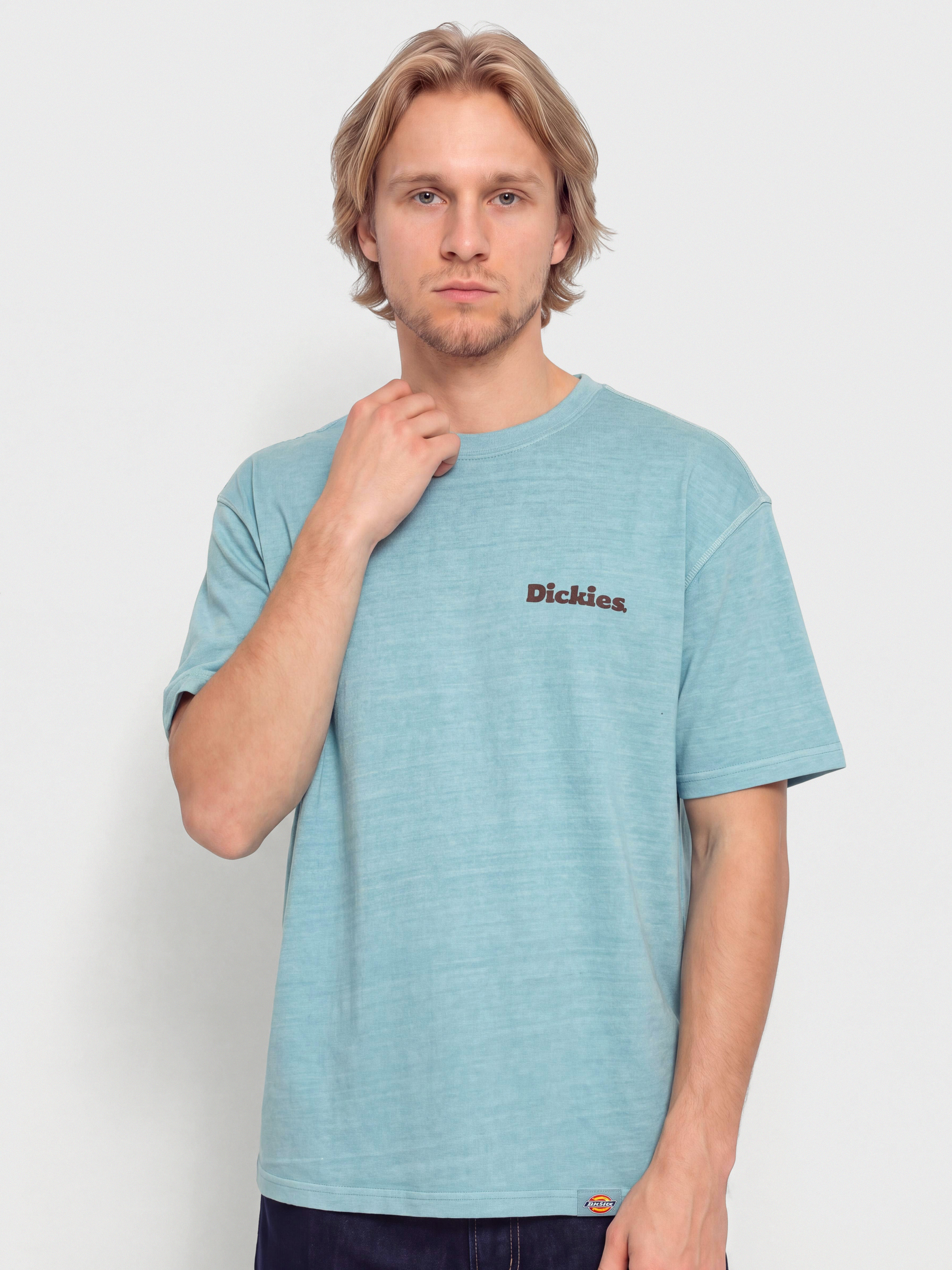 Dickies Slayden T-Shirt (glacier lake)