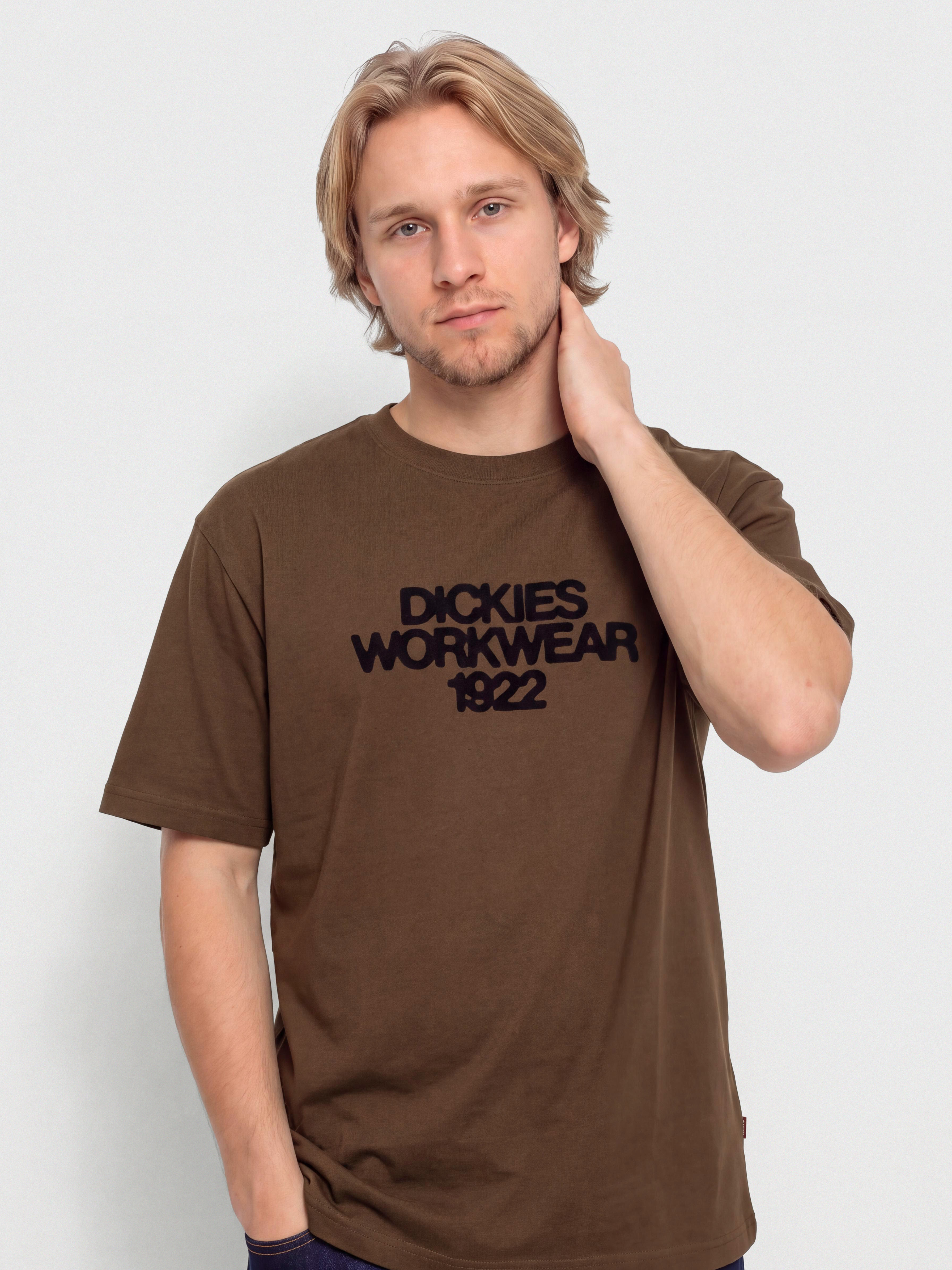 Dickies Torrey T-Shirt (timber brown)