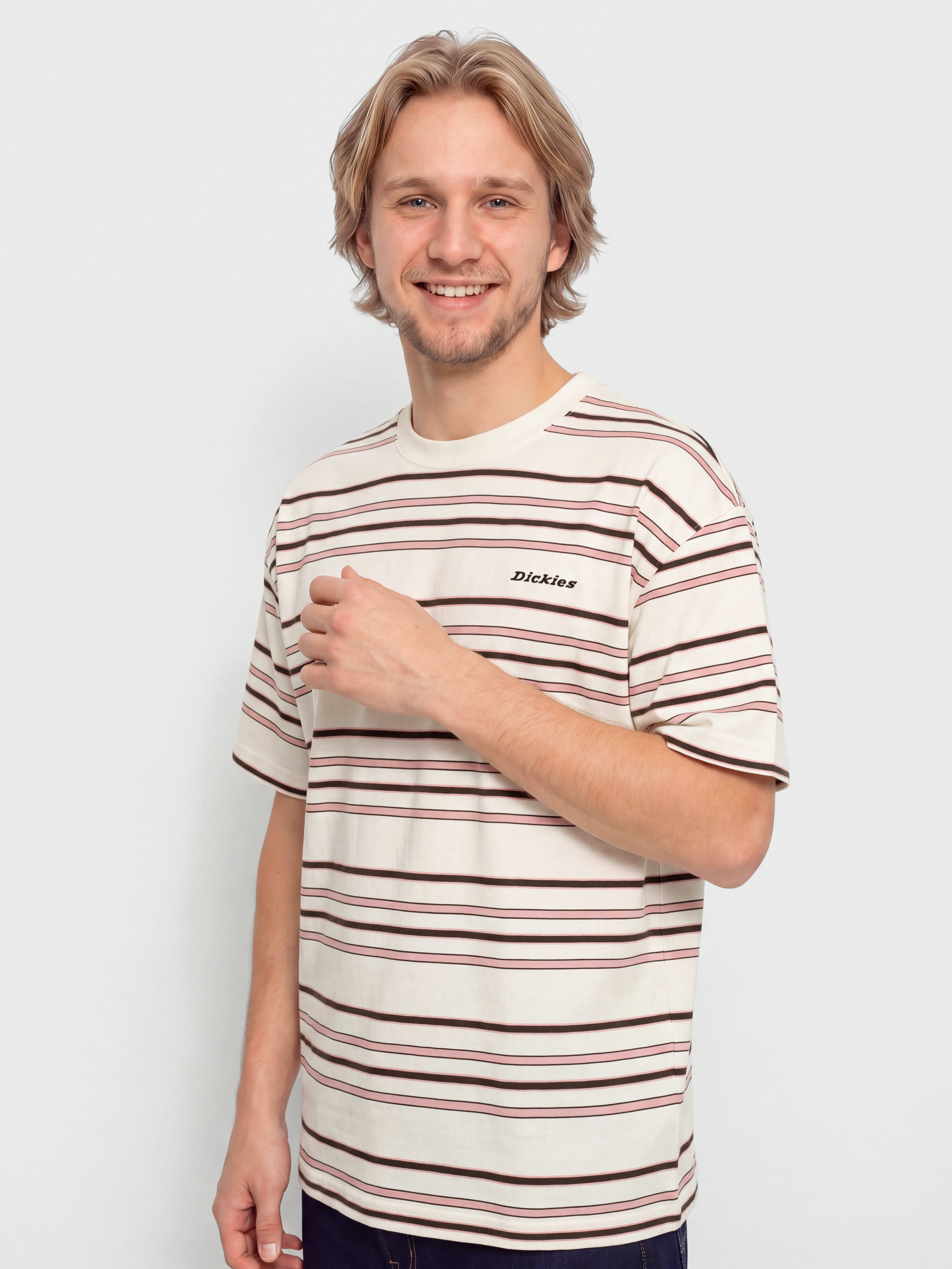 Dickies East Liberty Stripe T-Shirt (egret)