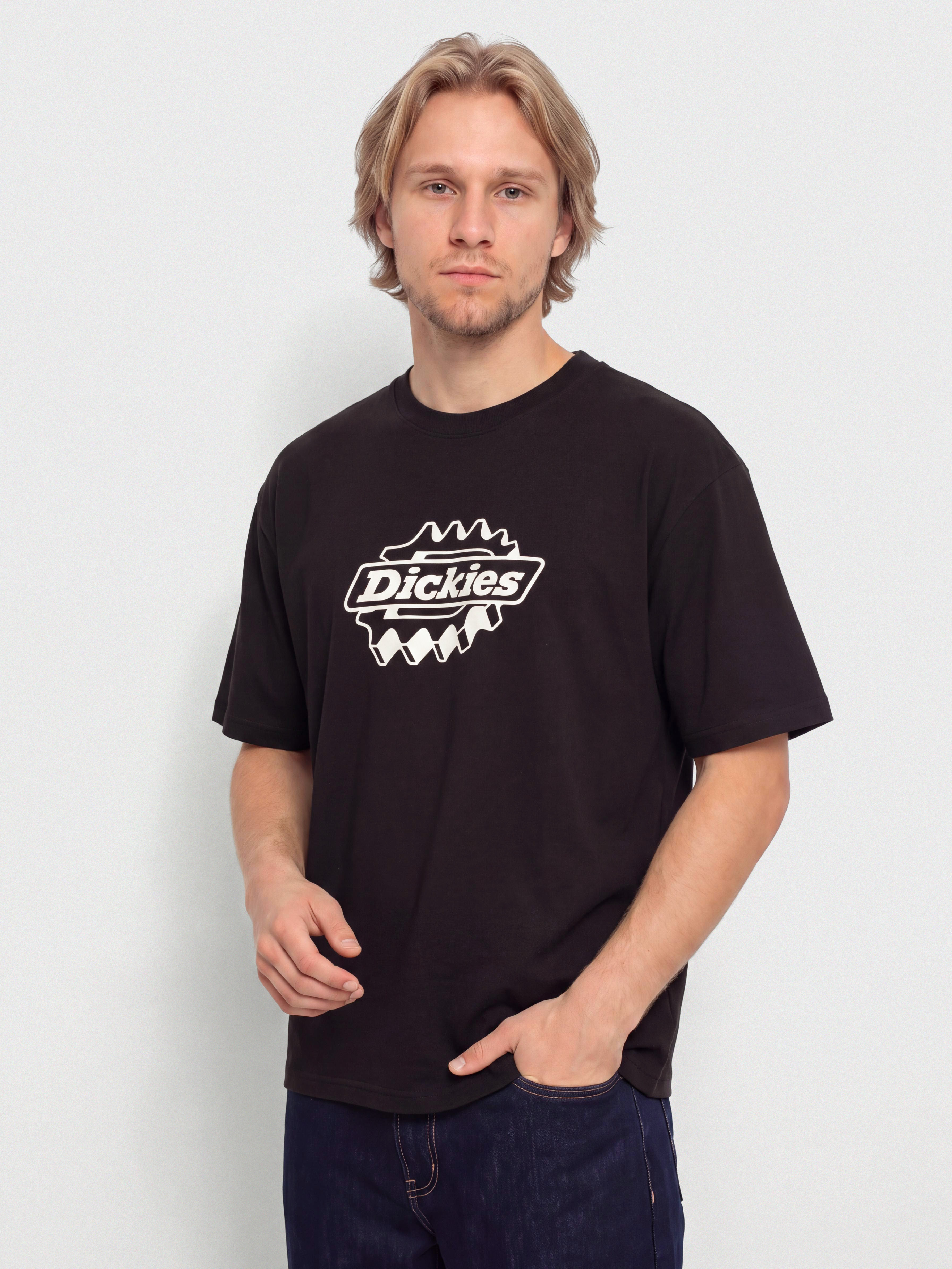 Dickies T-Shirt Irondale (black)