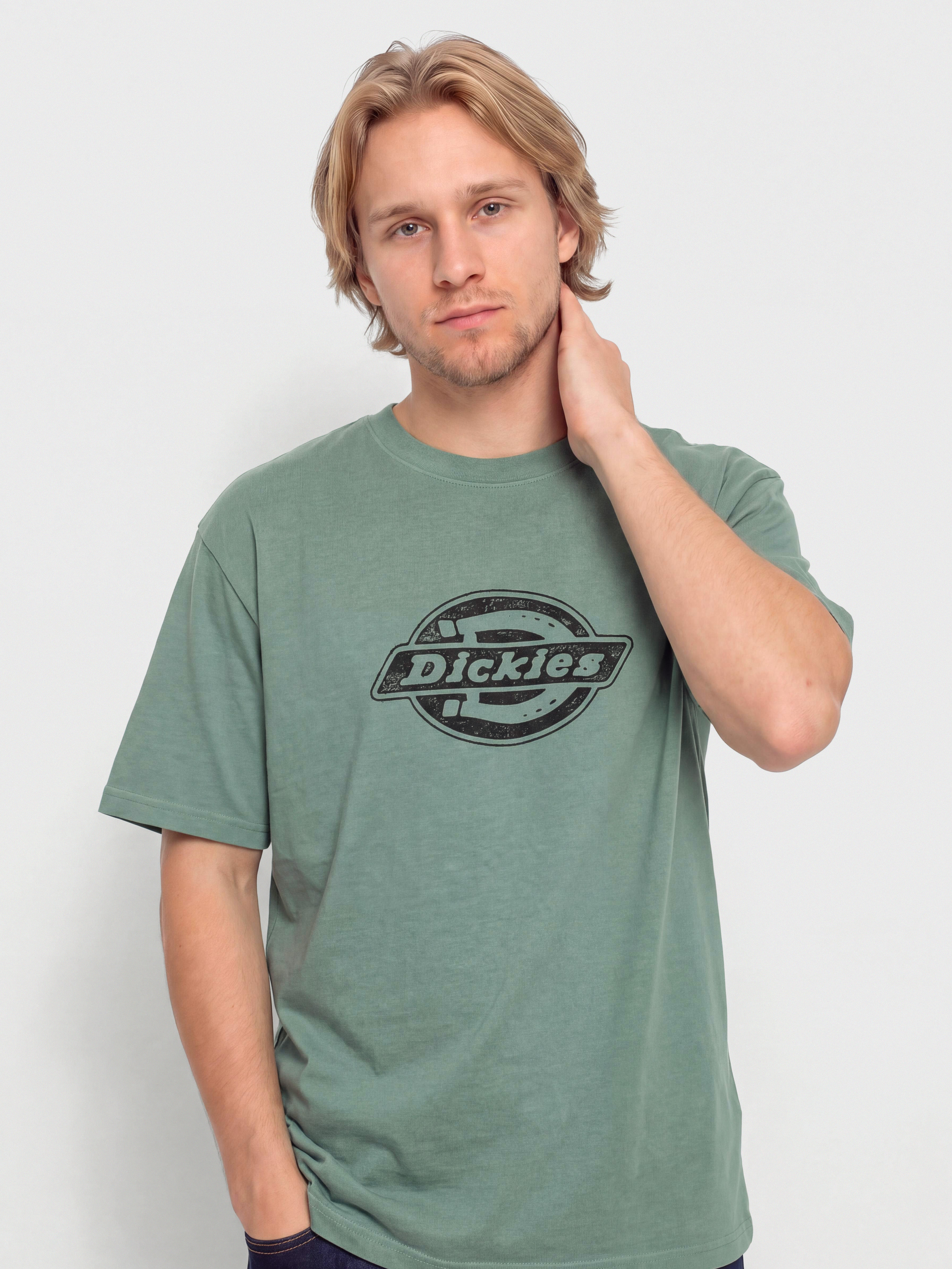 Dickies Plainville T-Shirt (stormy sea)