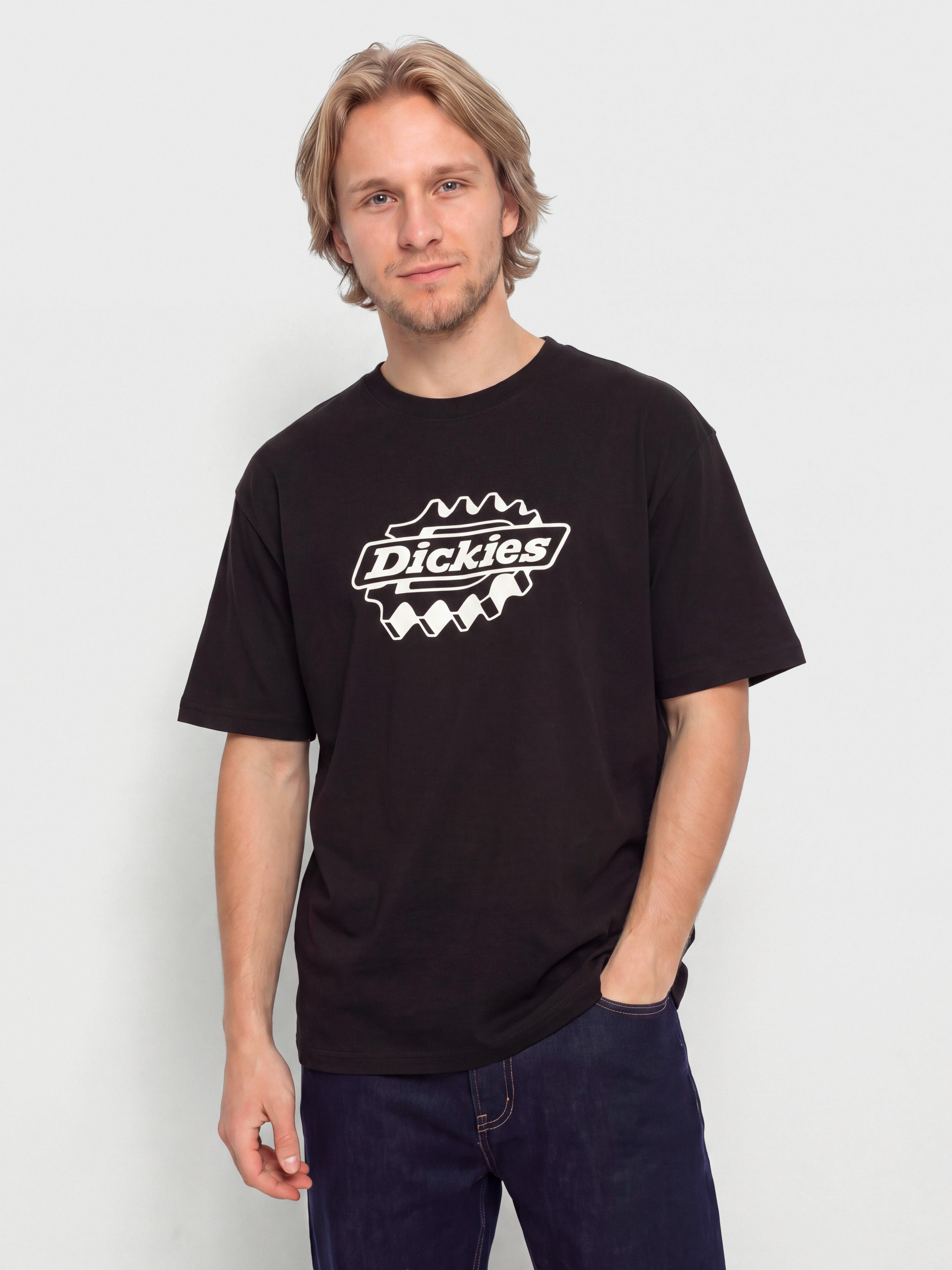 Dickies T-Shirt Irondale (black)