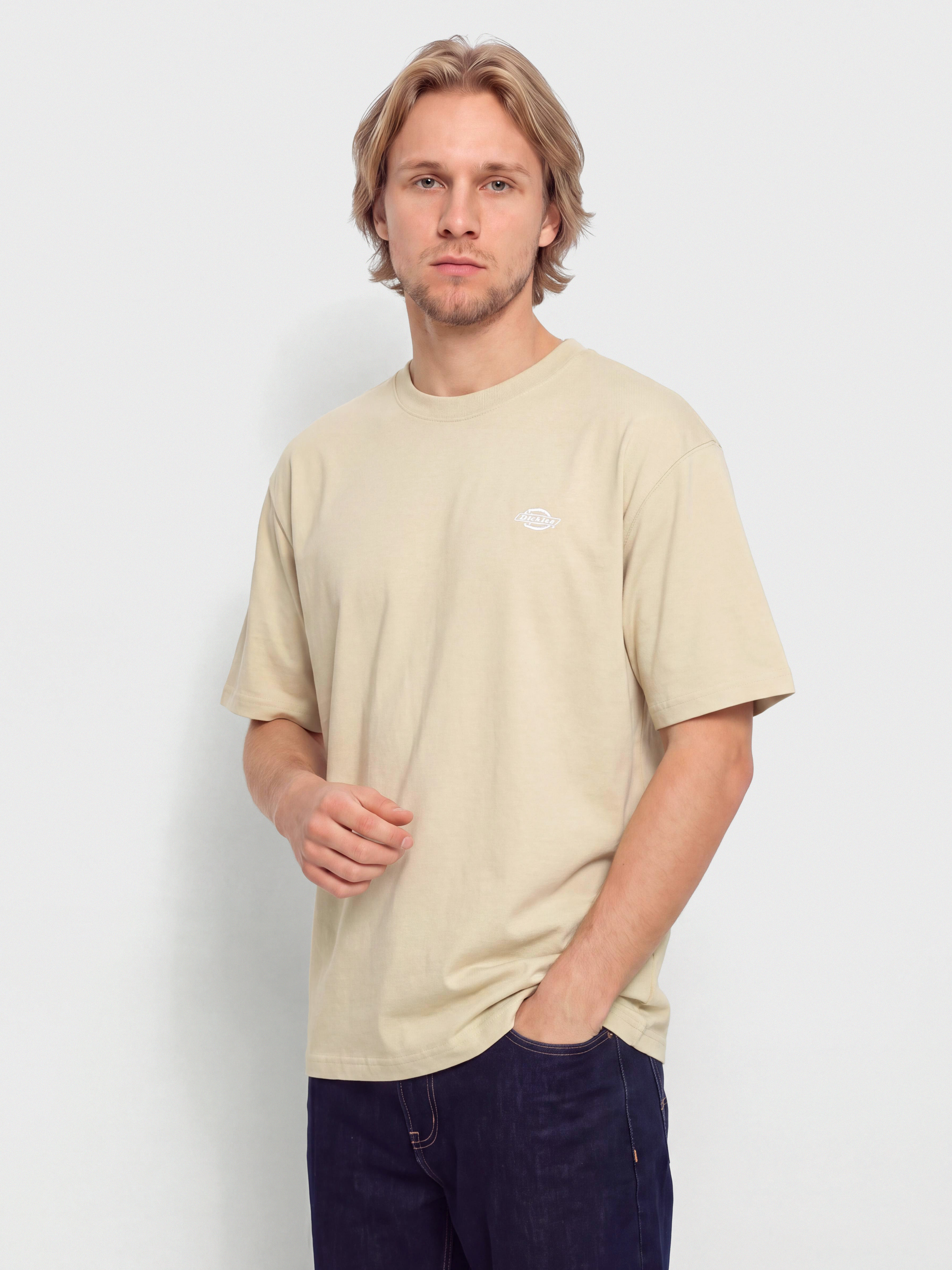 Dickies T-Shirt Summerdale (eucalyptus)