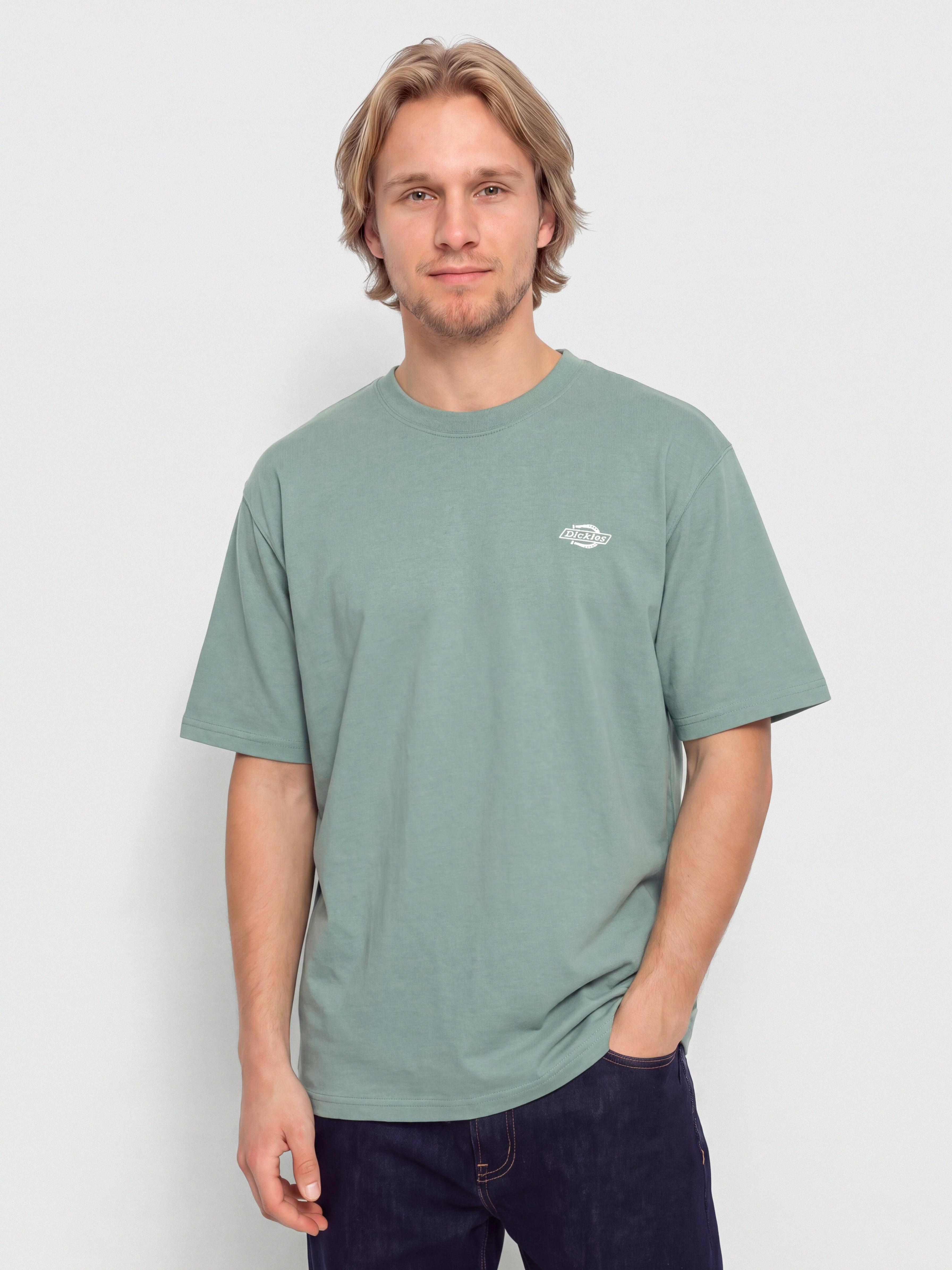 Dickies T-Shirt Summerdale (stormy sea)