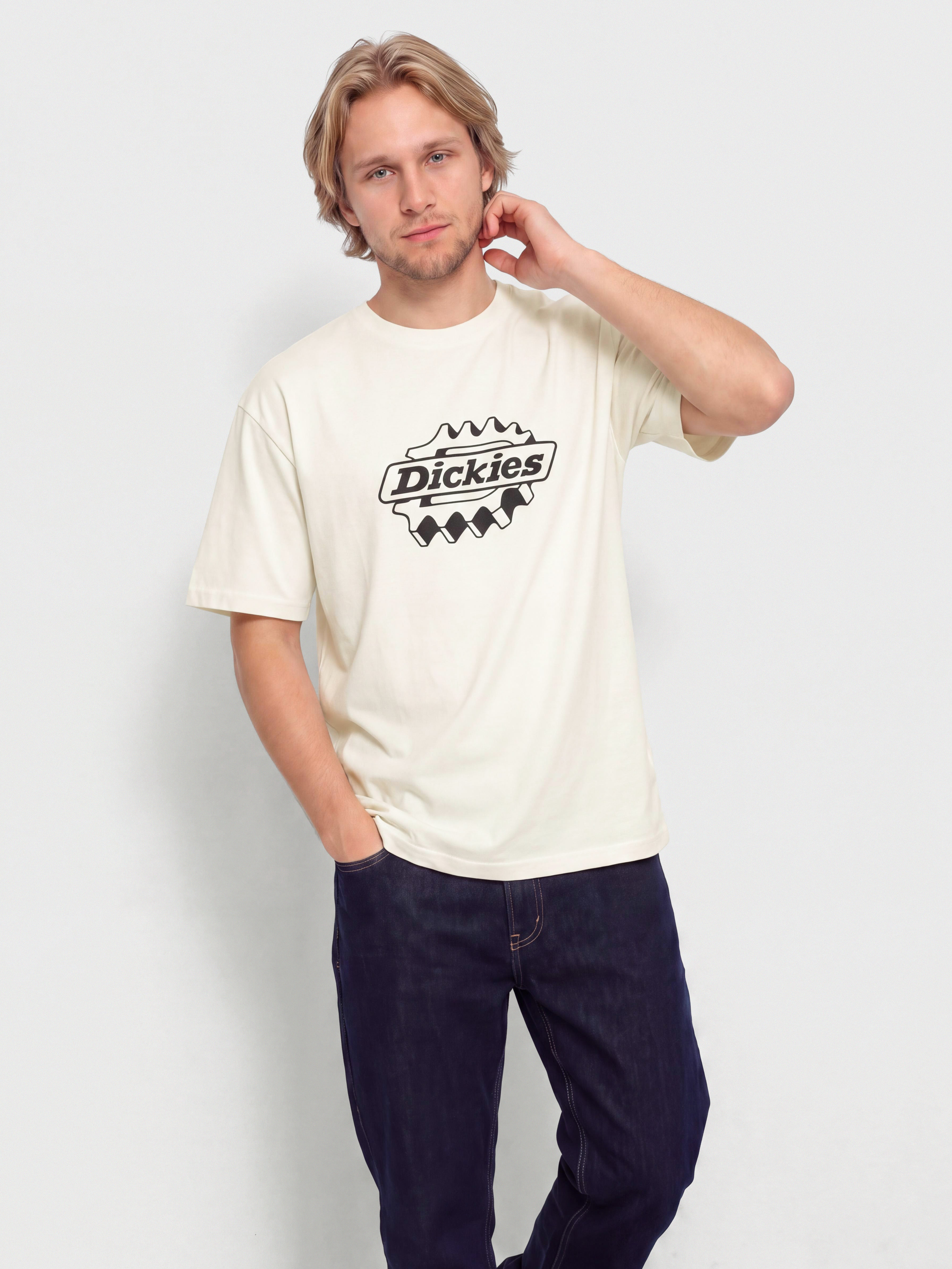 Dickies T-Shirt Irondale (egret)