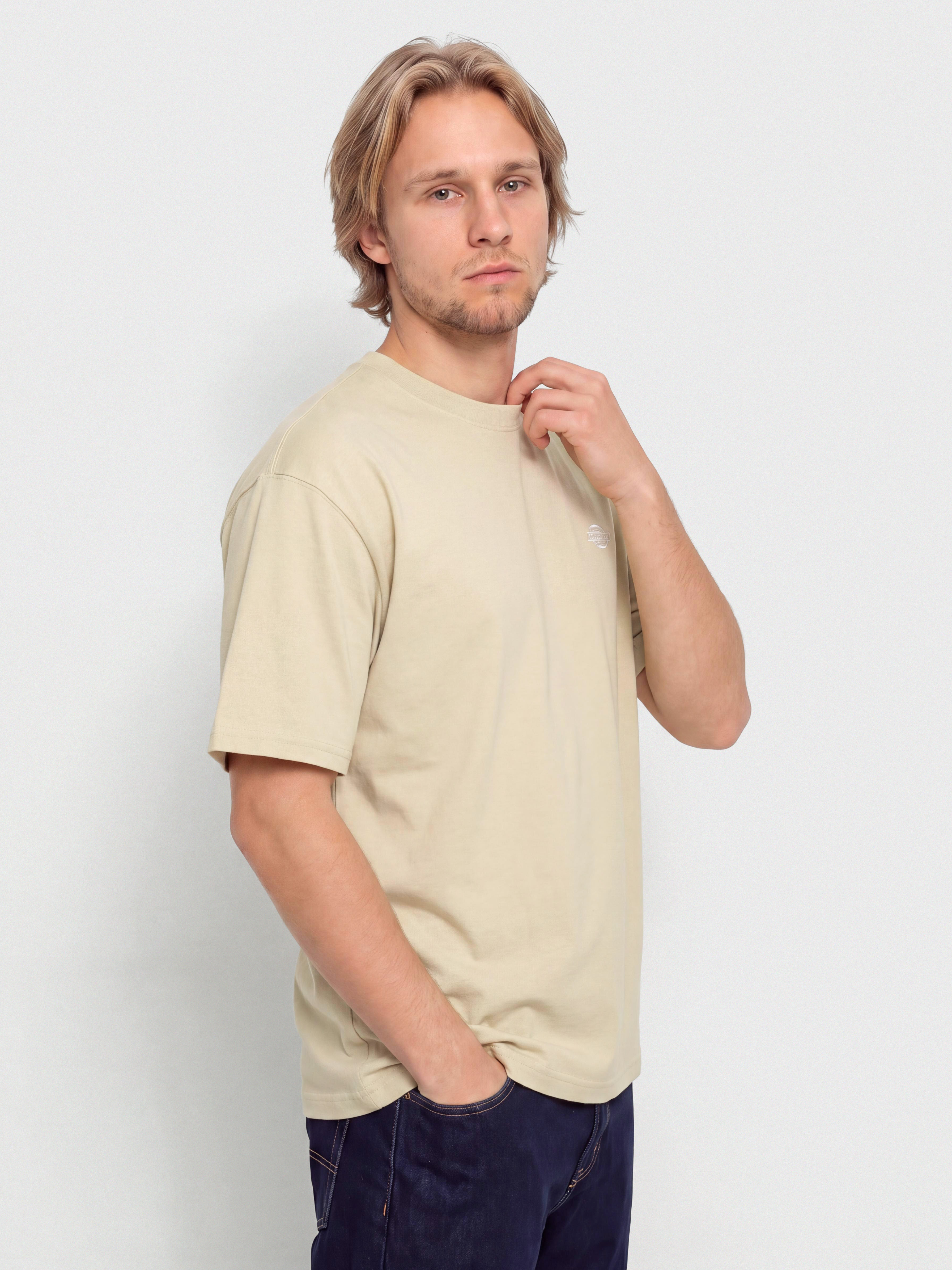 Dickies T-Shirt Summerdale (eucalyptus)