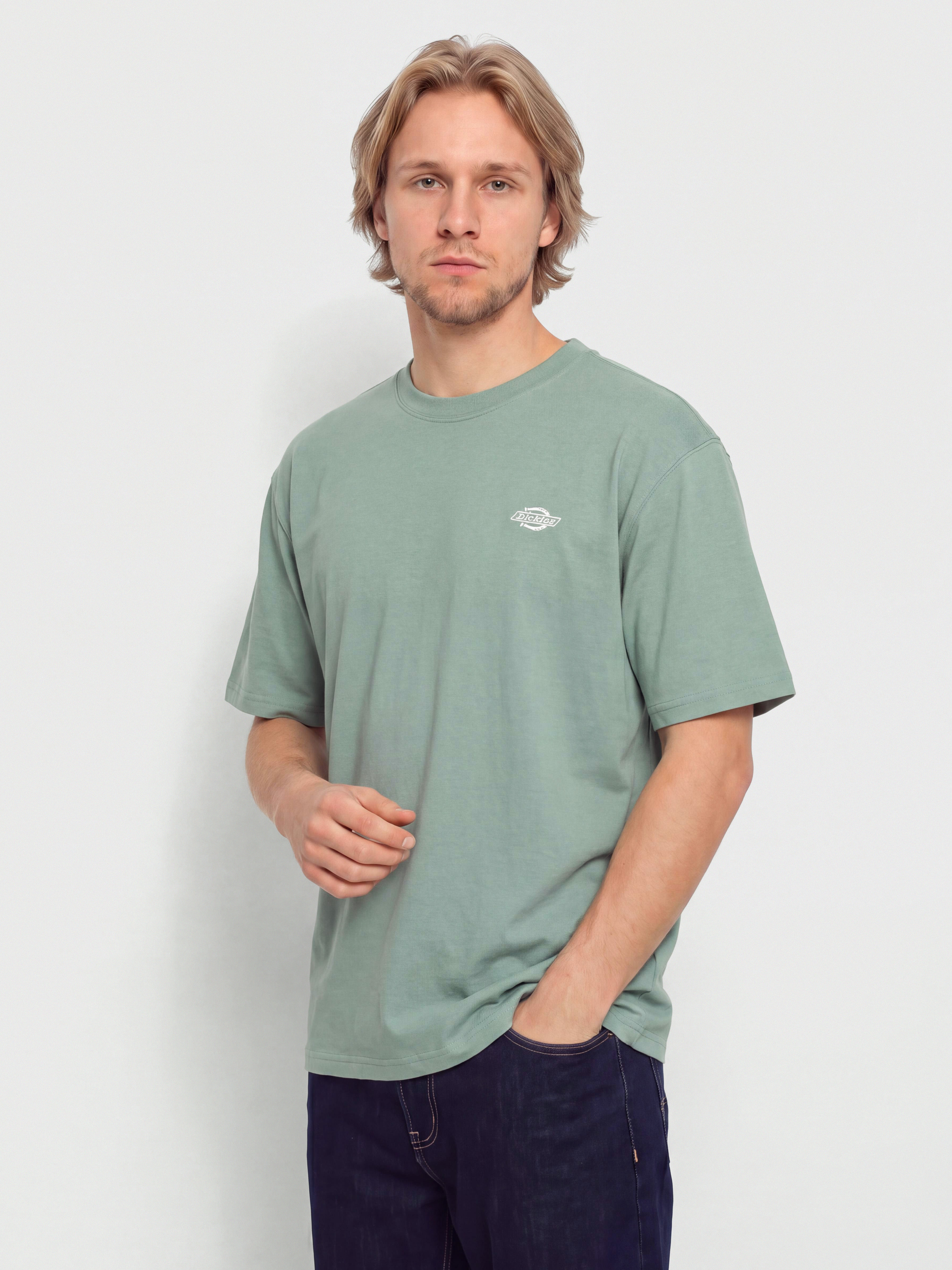 Dickies T-Shirt Summerdale (stormy sea)