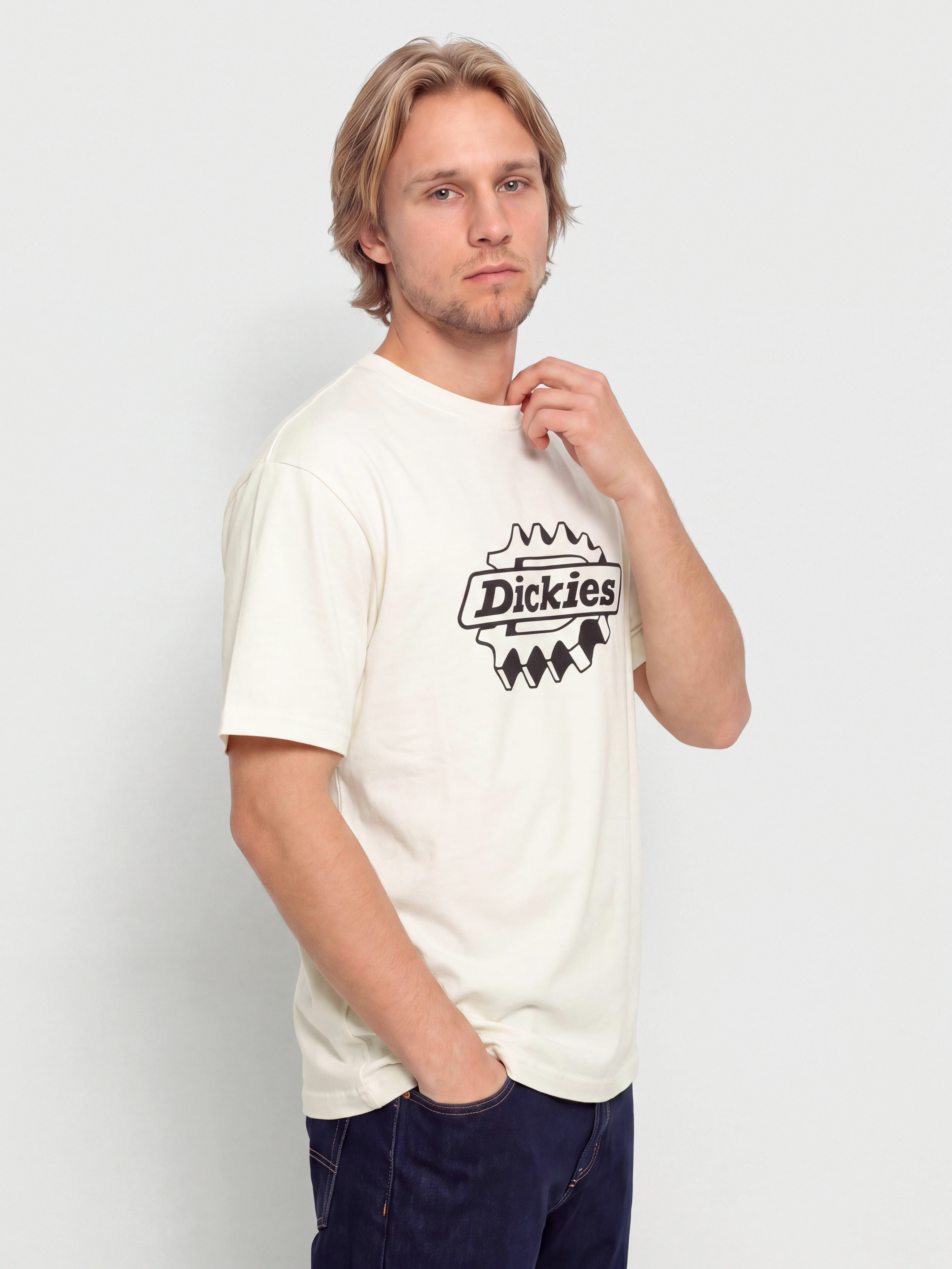 Dickies T-Shirt Irondale (egret)