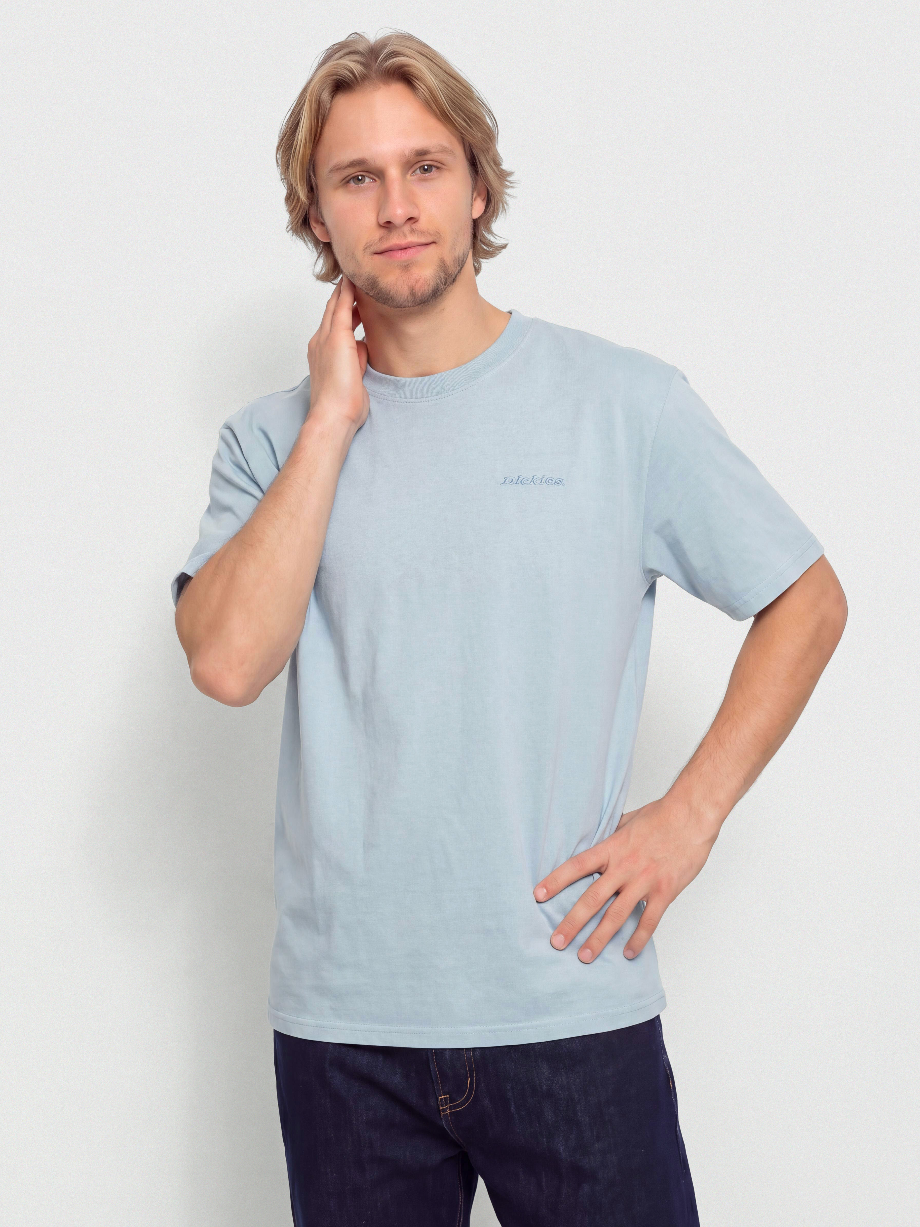 Dickies T-Shirt Plentywood