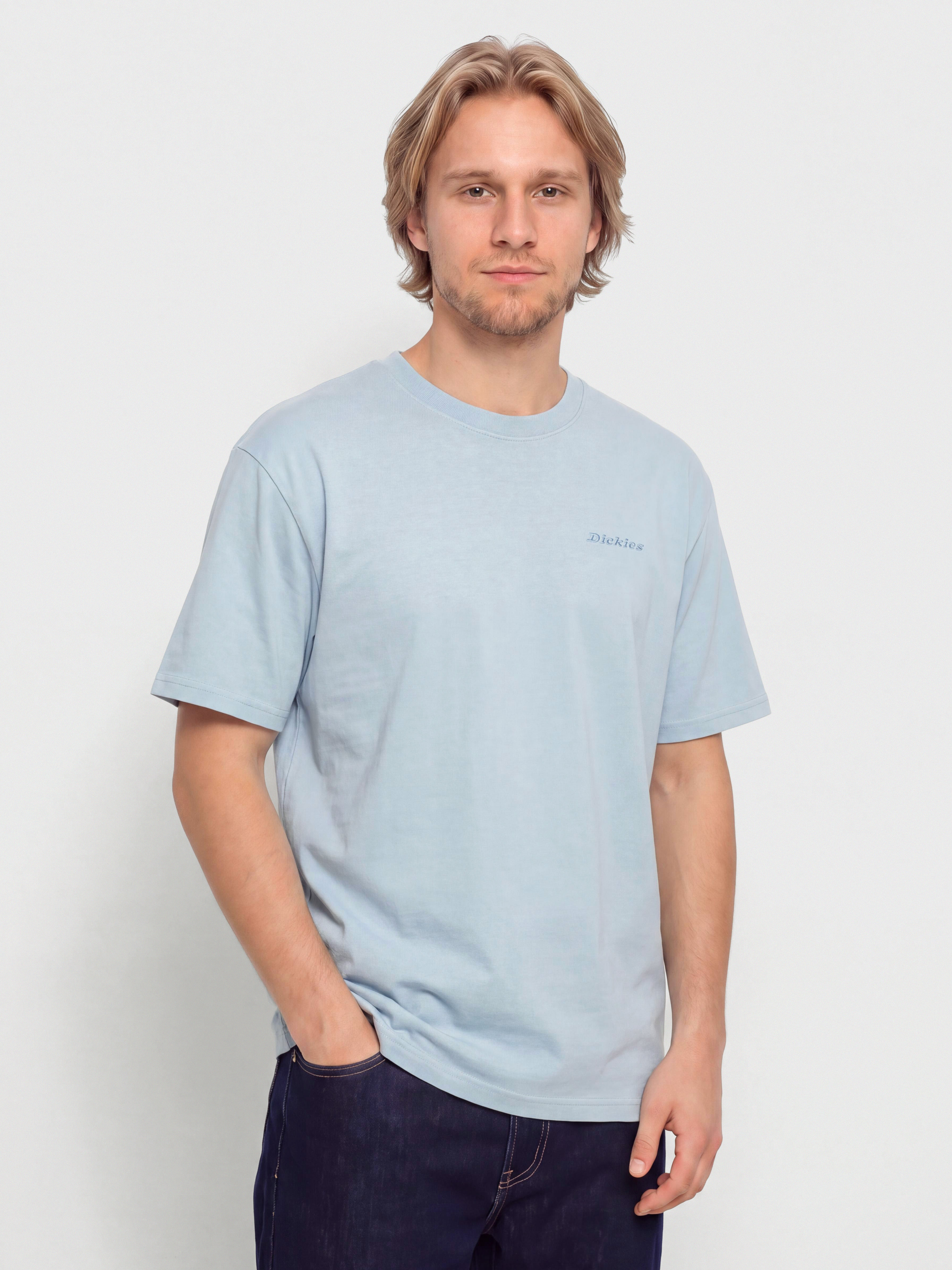 Dickies T-Shirt Plentywood (endless sky)