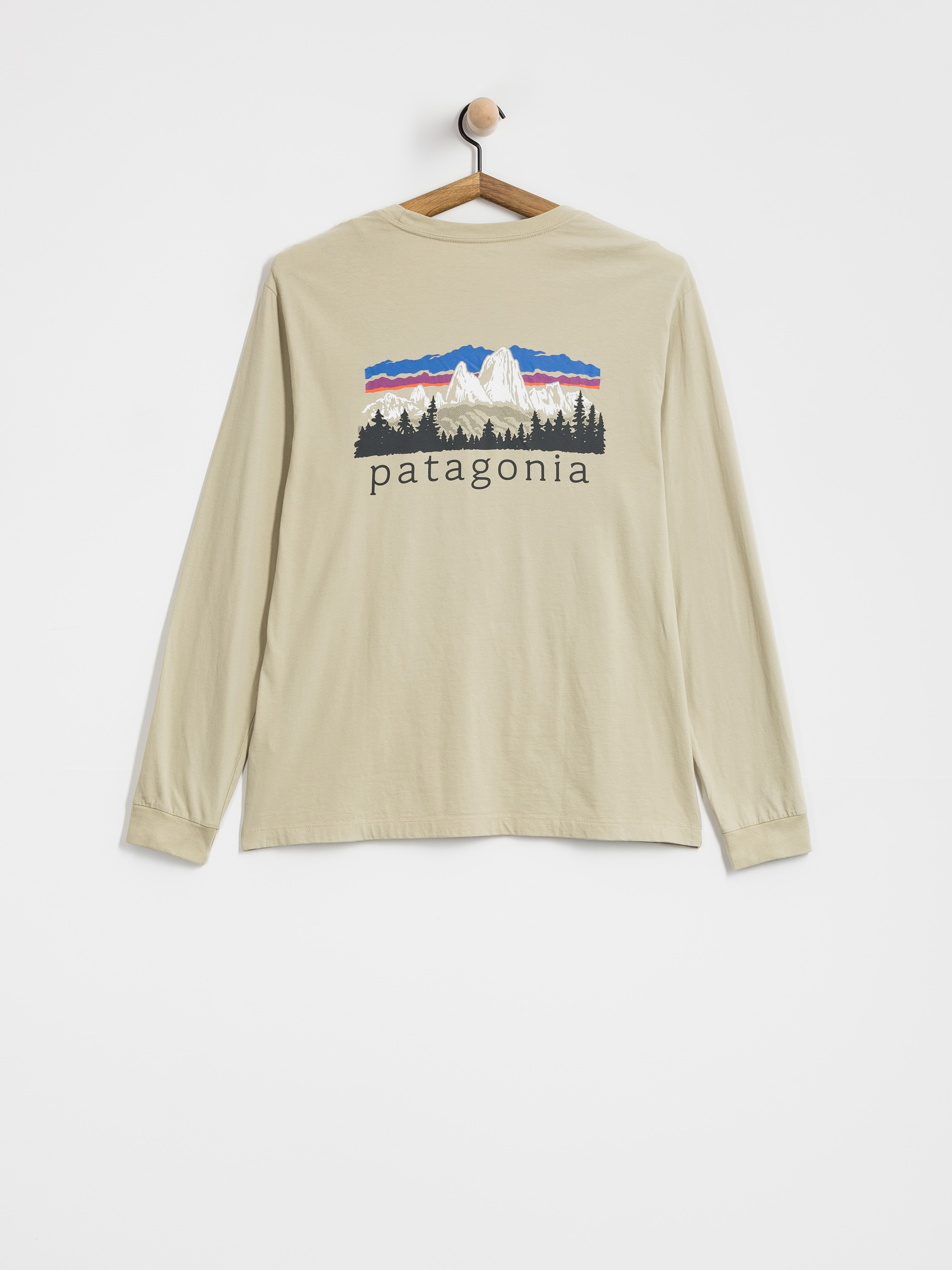 Patagonia Fitz Roy Foothills Longsleeve