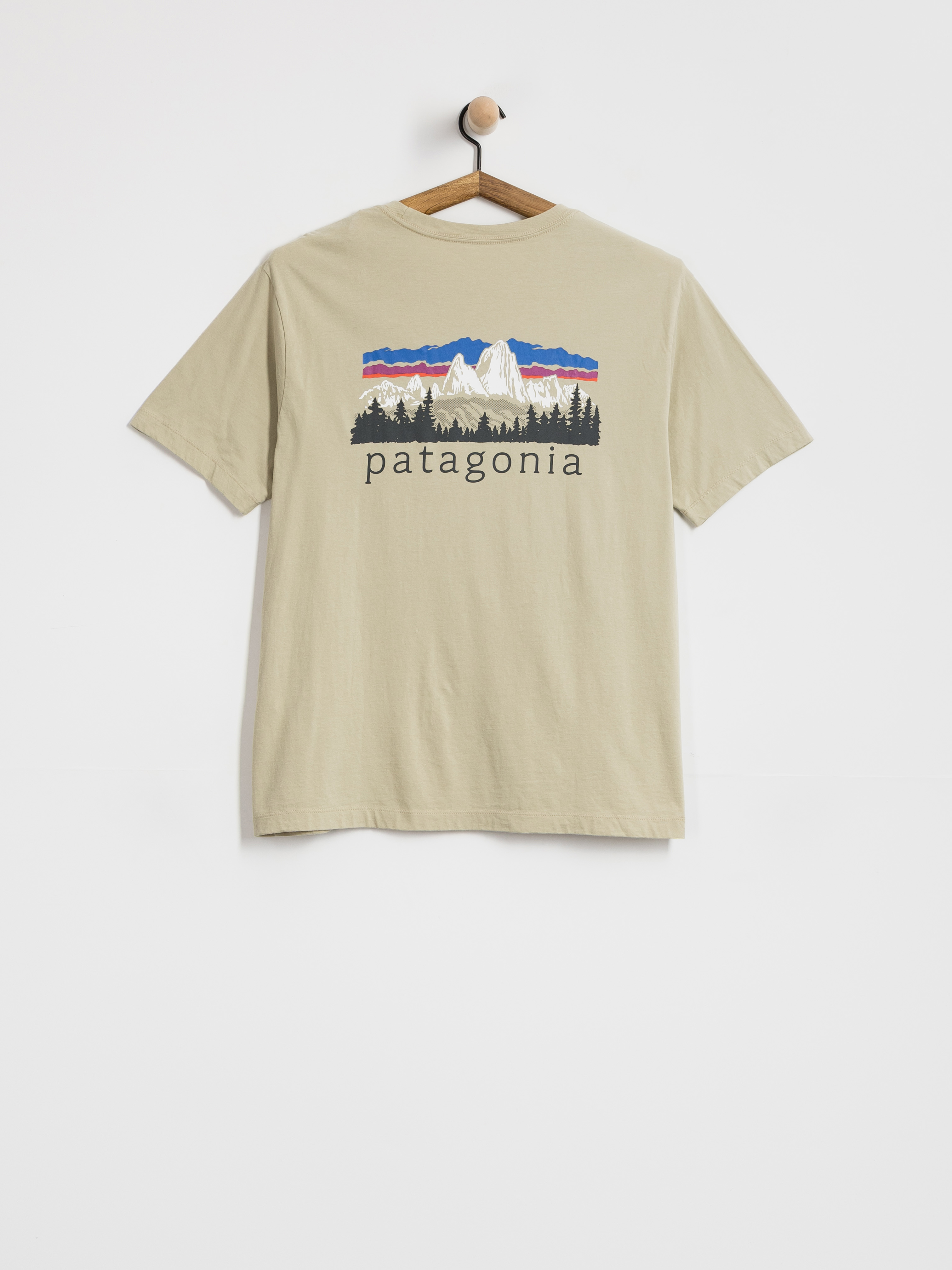 Patagonia Fitz Roy Foothills T-Shirt