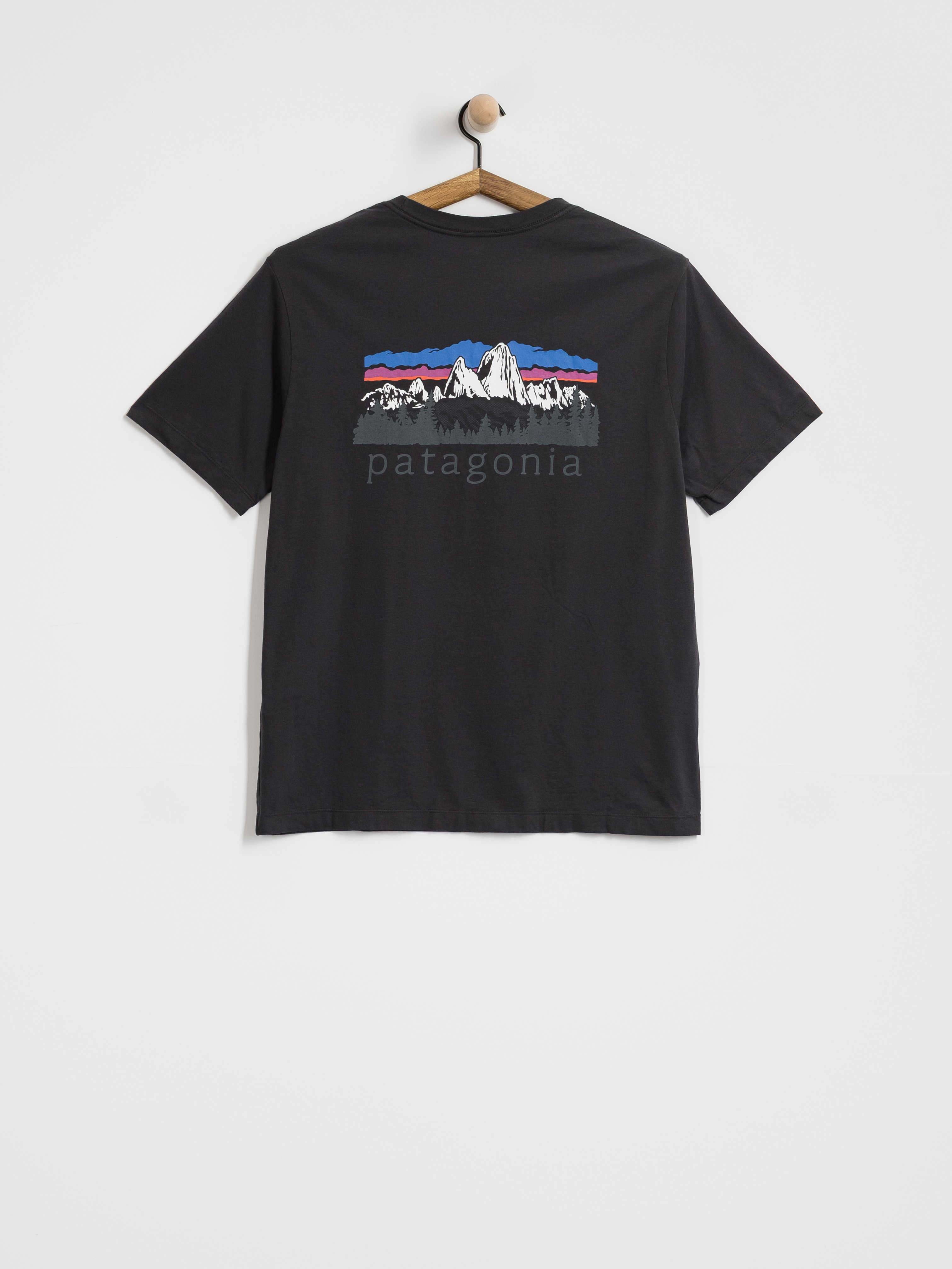 Patagonia Fitz Roy Foothills T-Shirt